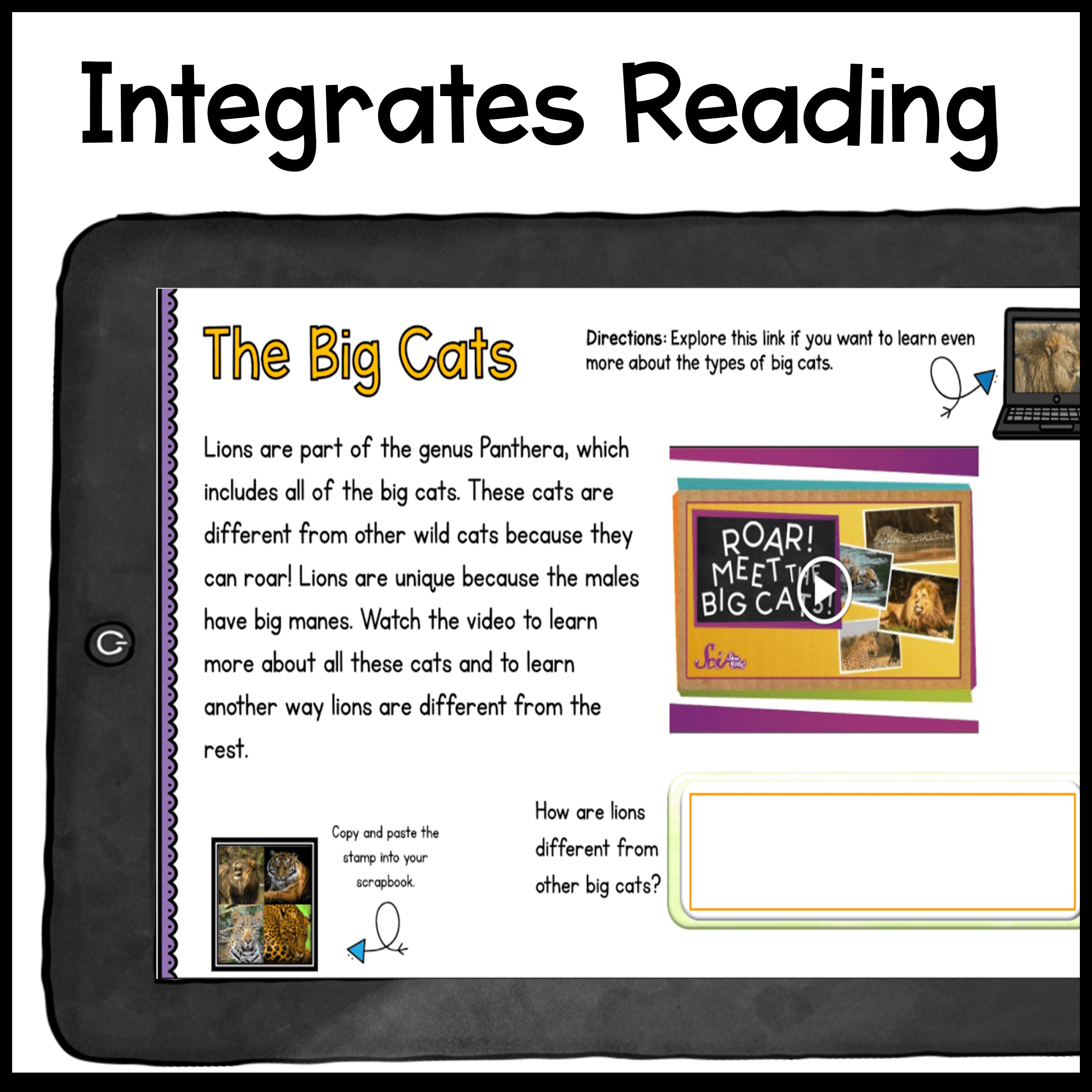 Research Webquest: Lions! - Google Slides for Distance Learning - Image 2