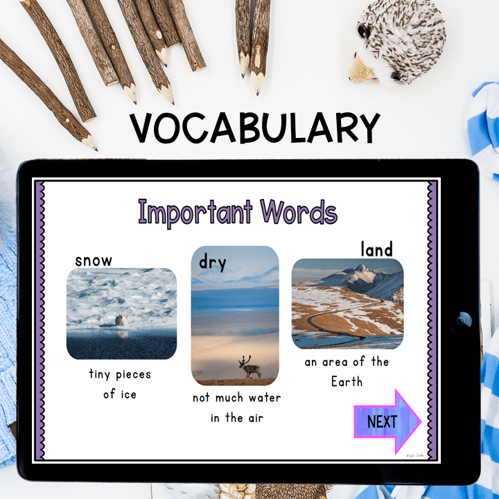 Virtual Field Trip Tundra Biome Habitat 1st Grade Google Slides Seesaw Activity - Image 3