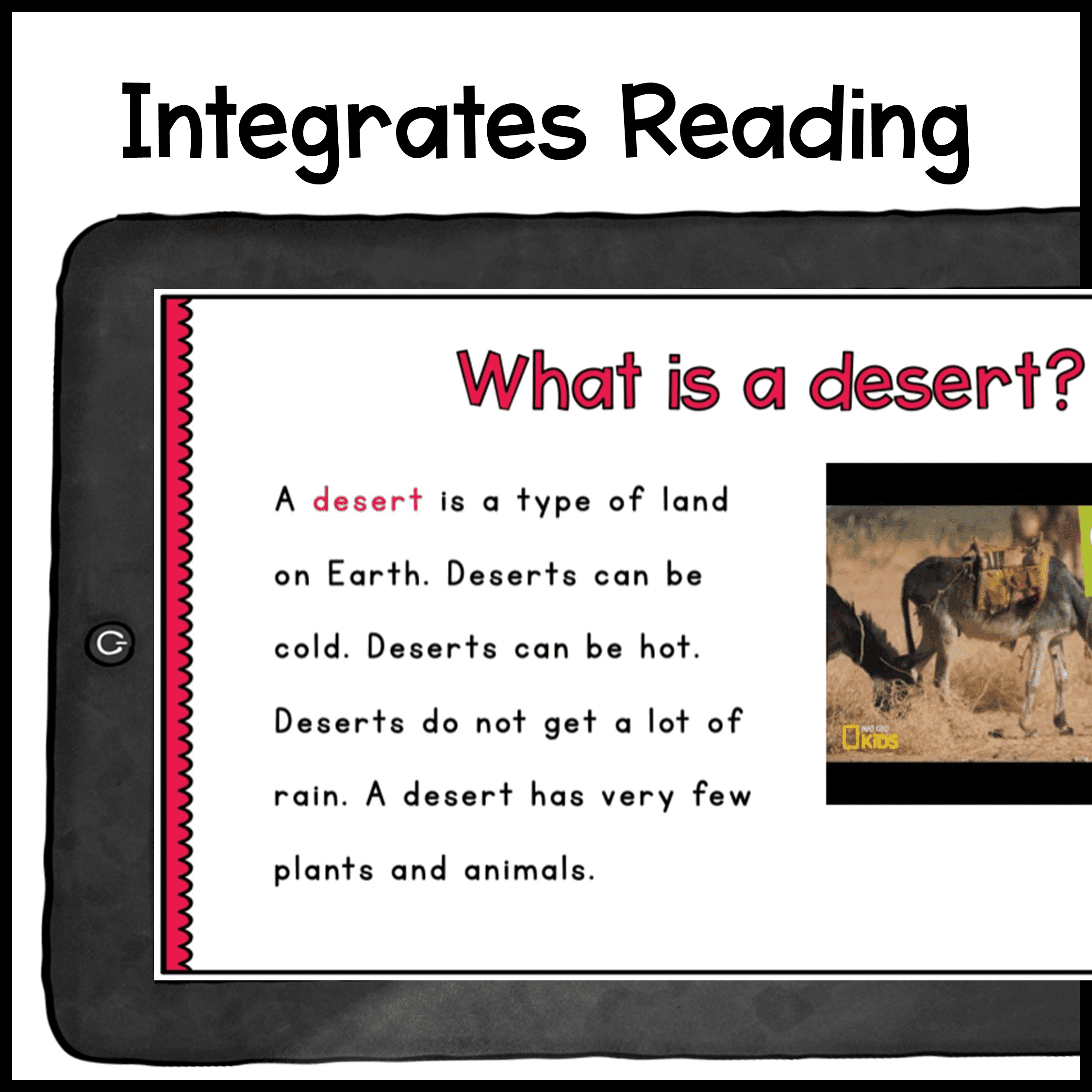 Primary Virtual Field Trips - Biomes Bundle Habitats - Google Slides & Seesaw - Image 3