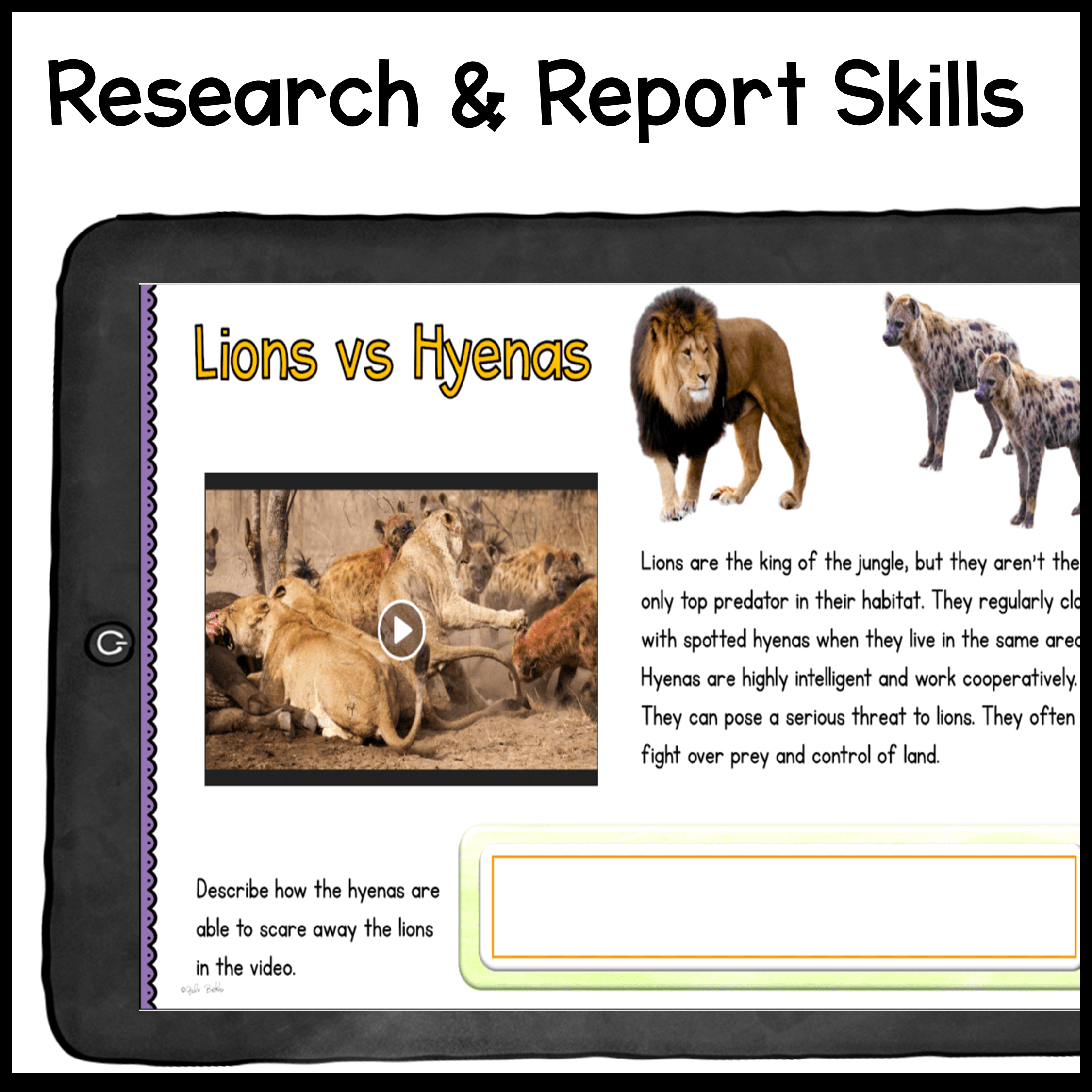 Research Webquest: Lions! - Google Slides for Distance Learning - Image 4