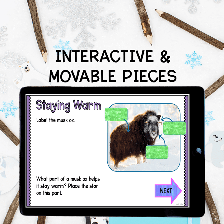 Virtual Field Trip Tundra Biome Habitat 1st Grade Google Slides Seesaw Activity - Image 5