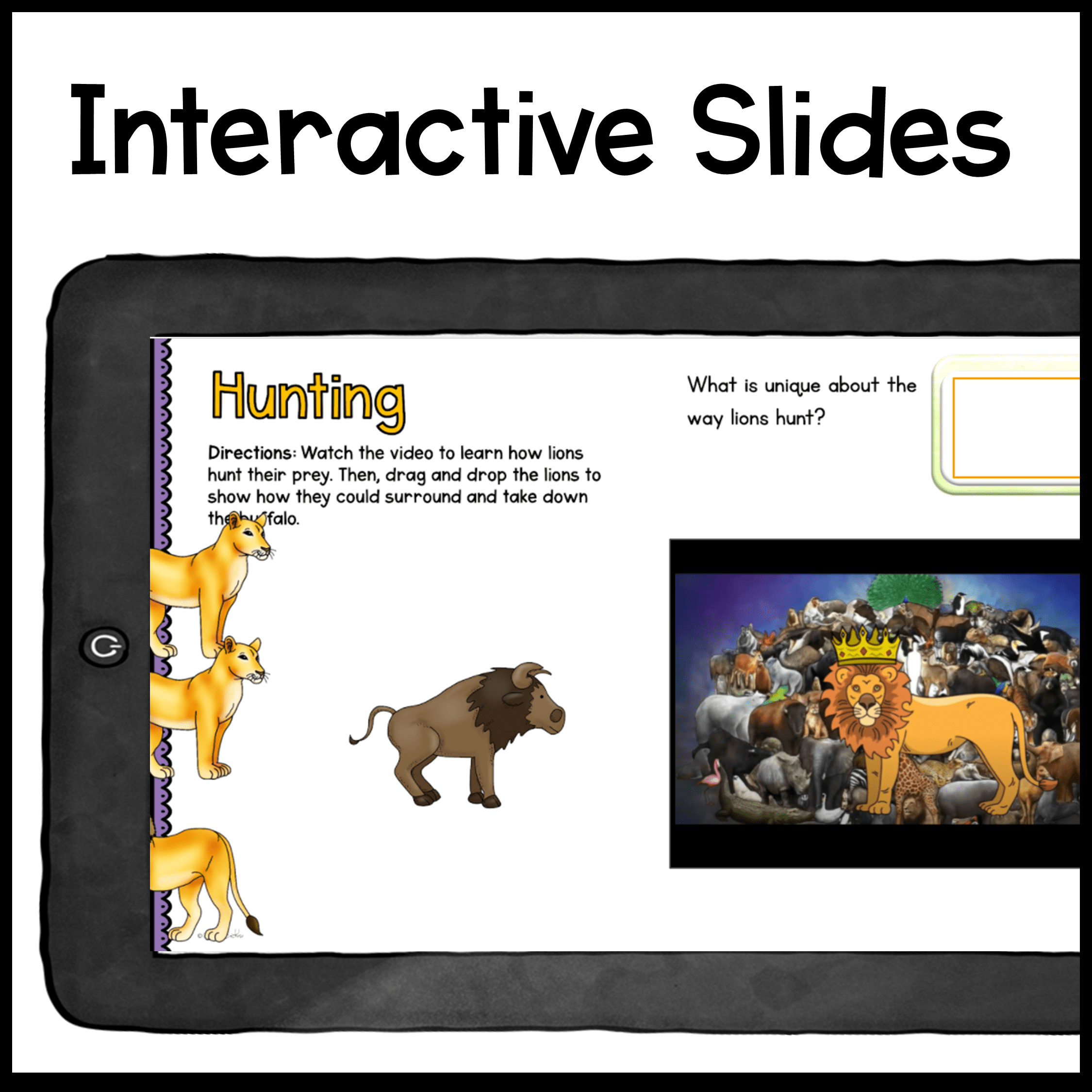 Research Webquest: Lions! - Google Slides for Distance Learning - Image 5