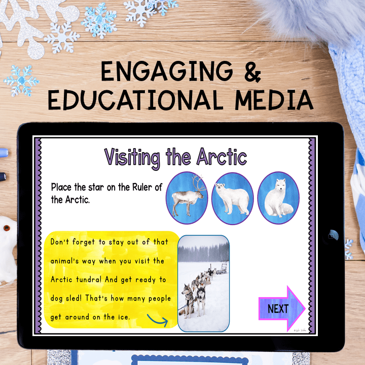 Virtual Field Trip Tundra Biome Habitat 1st Grade Google Slides Seesaw Activity - Image 6