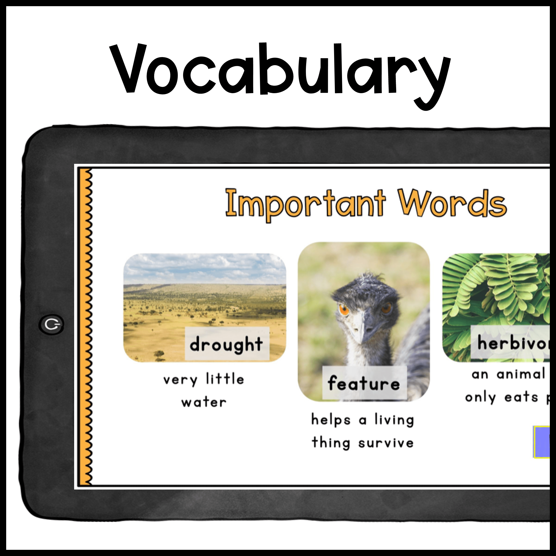 Primary Virtual Field Trips - Biomes Bundle Habitats - Google Slides & Seesaw - Image 5