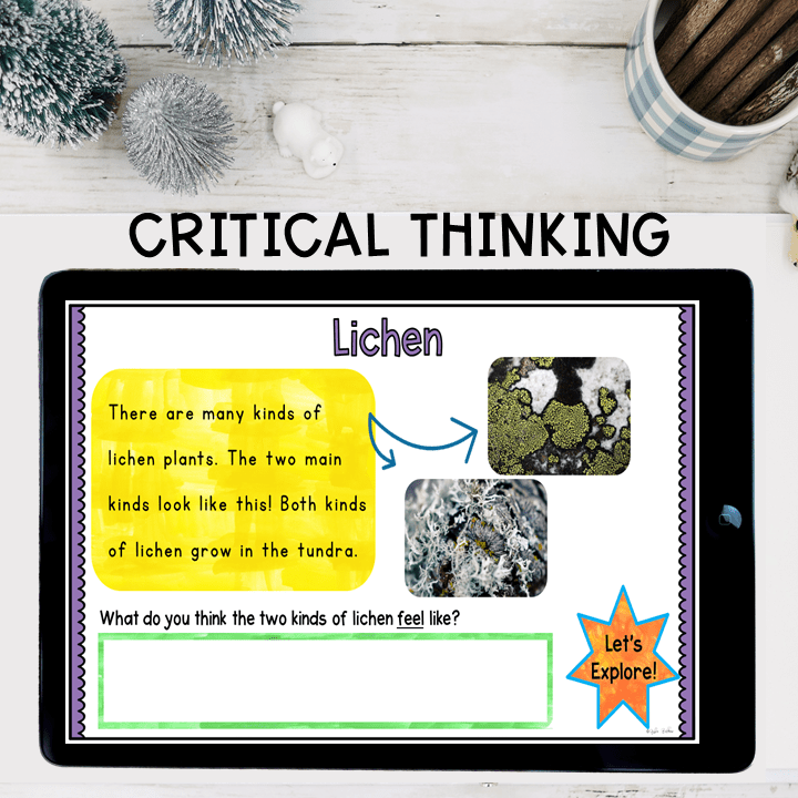 Virtual Field Trip Tundra Biome Habitat 1st Grade Google Slides Seesaw Activity - Image 7