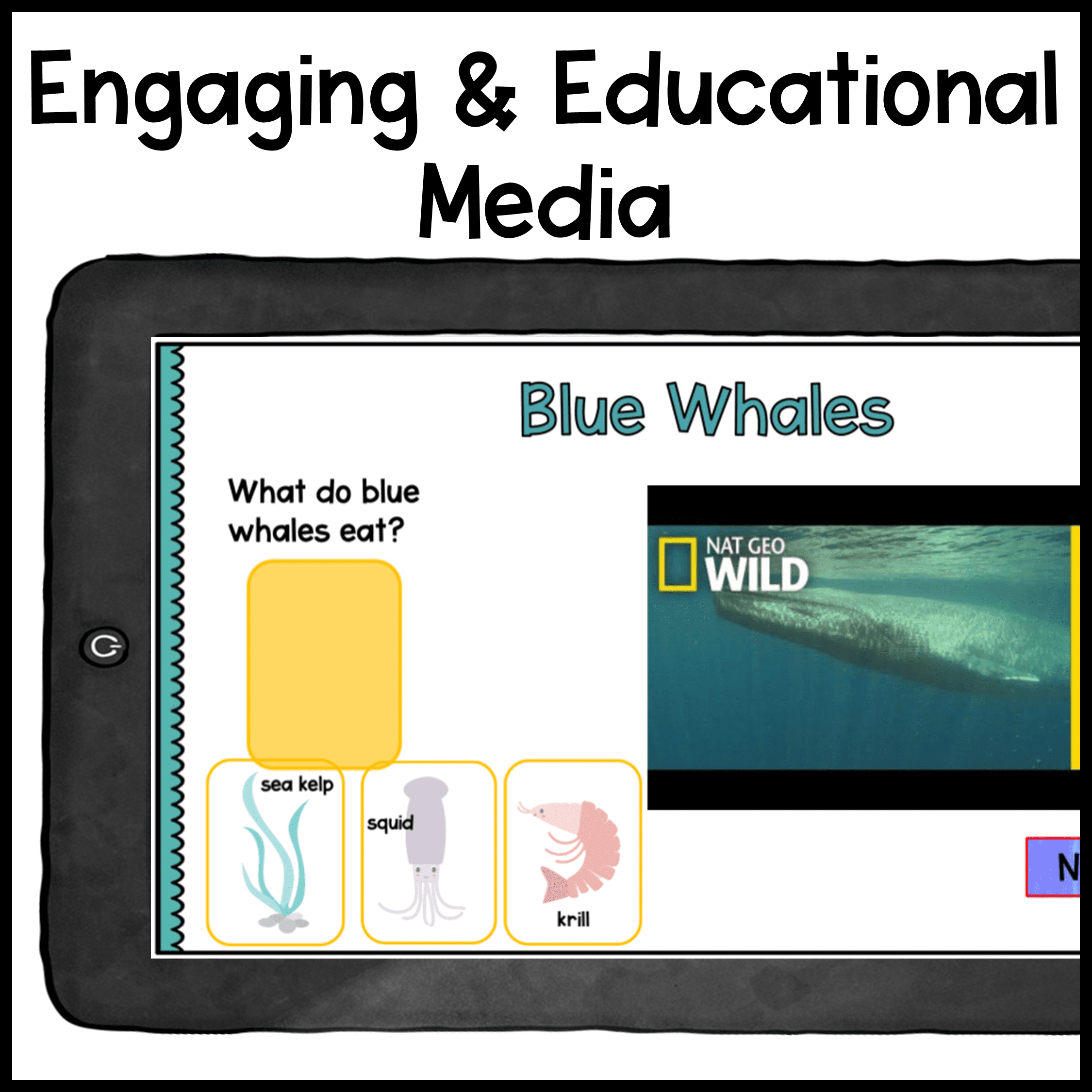 Primary Virtual Field Trips - Biomes Bundle Habitats - Google Slides & Seesaw - Image 6