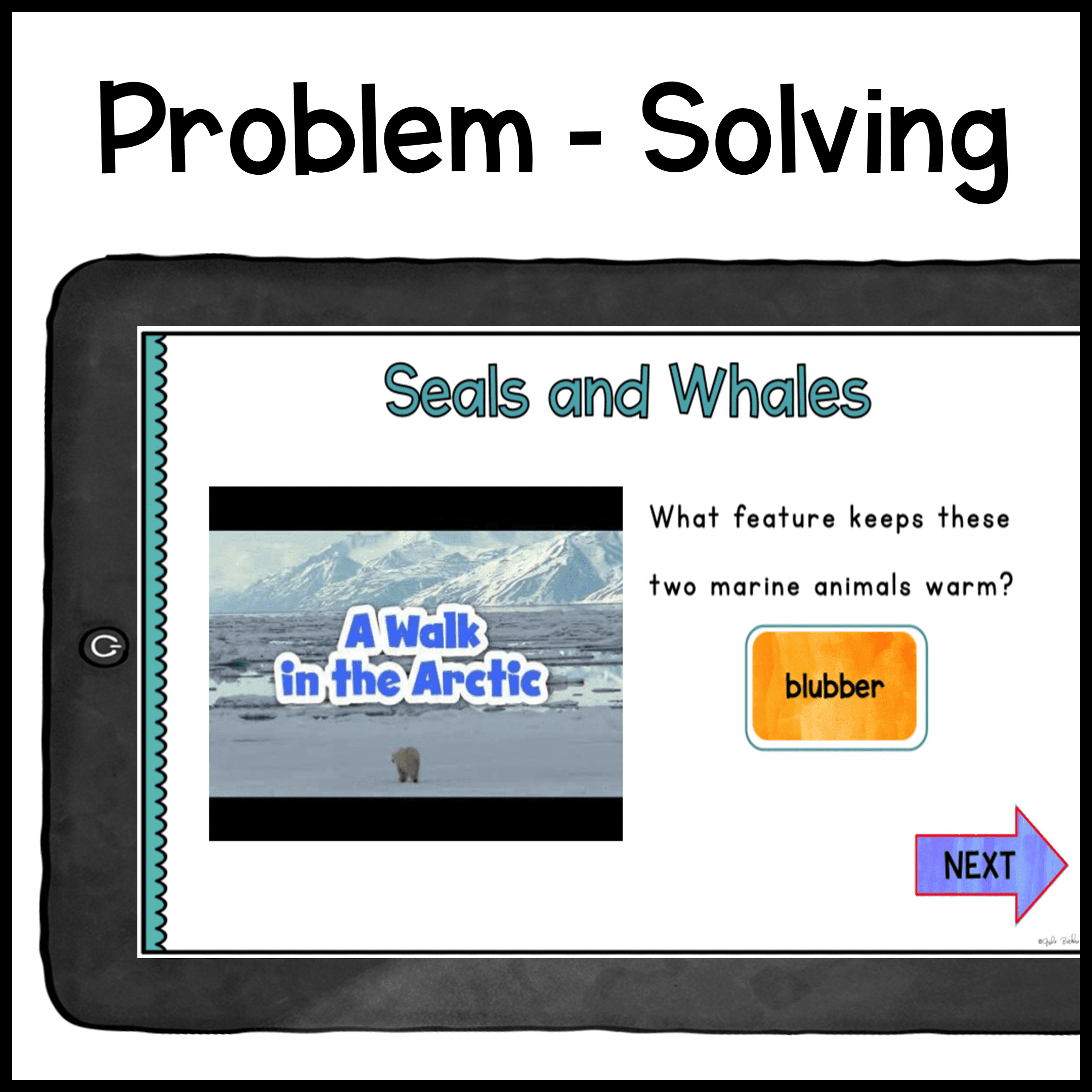 Primary Virtual Field Trips - Biomes Bundle Habitats - Google Slides & Seesaw - Image 7