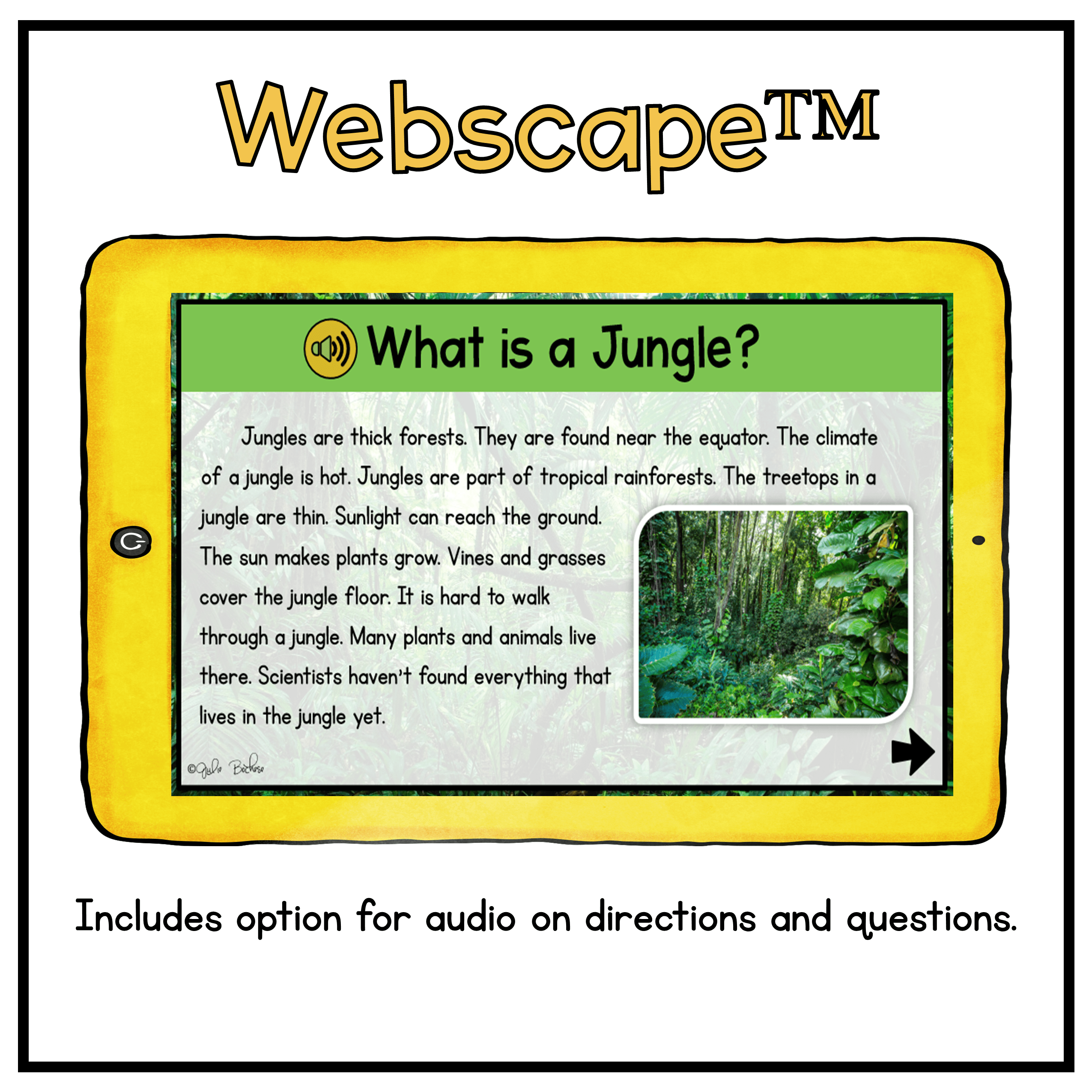 Ask & Answer Questions Safari Webscape™ Escape Room - 1st Grade - Image 10