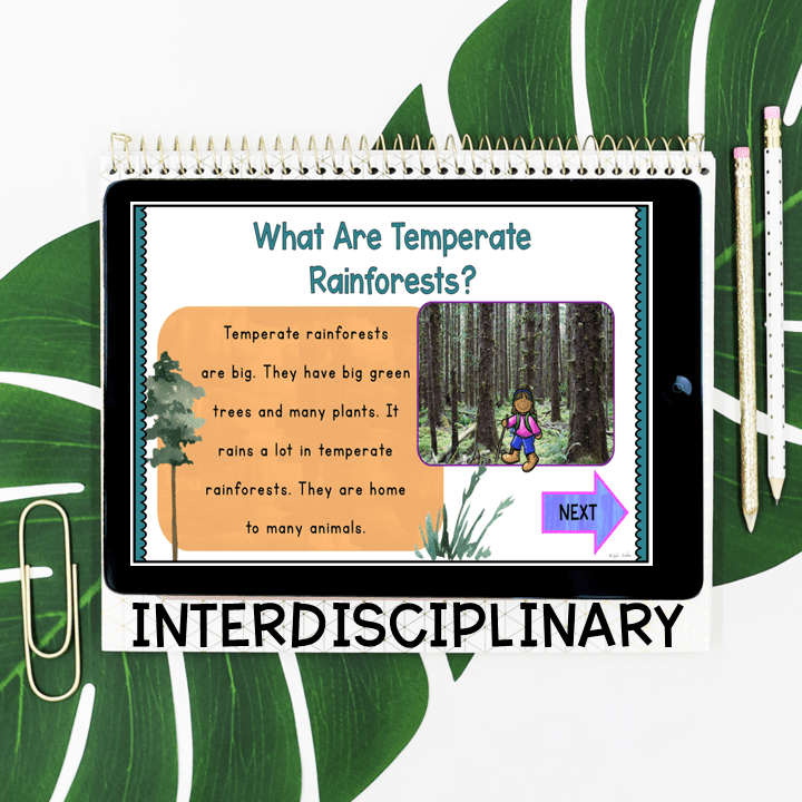 Virtual Field Trip - Temperate Forest Biome 1st Grade Google Slides & Seesaw - Image 2