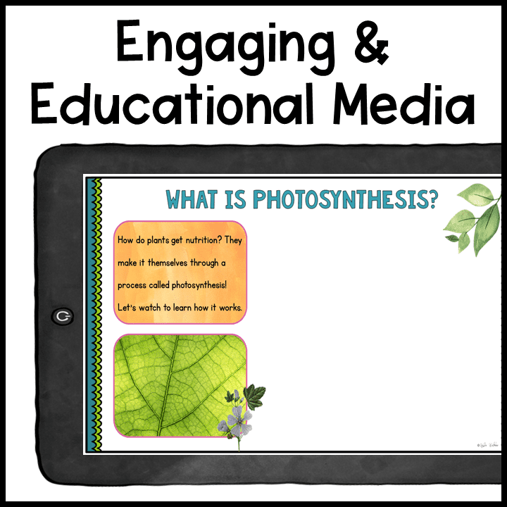 Virtual Career Day: Botanist - Google Slides Occupation Job Exploration Activity - Image 3