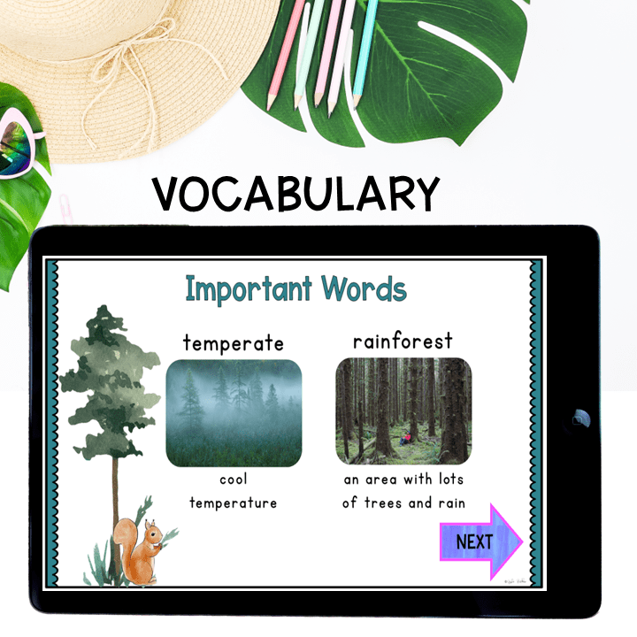 Virtual Field Trip - Temperate Forest Biome 1st Grade Google Slides & Seesaw - Image 3