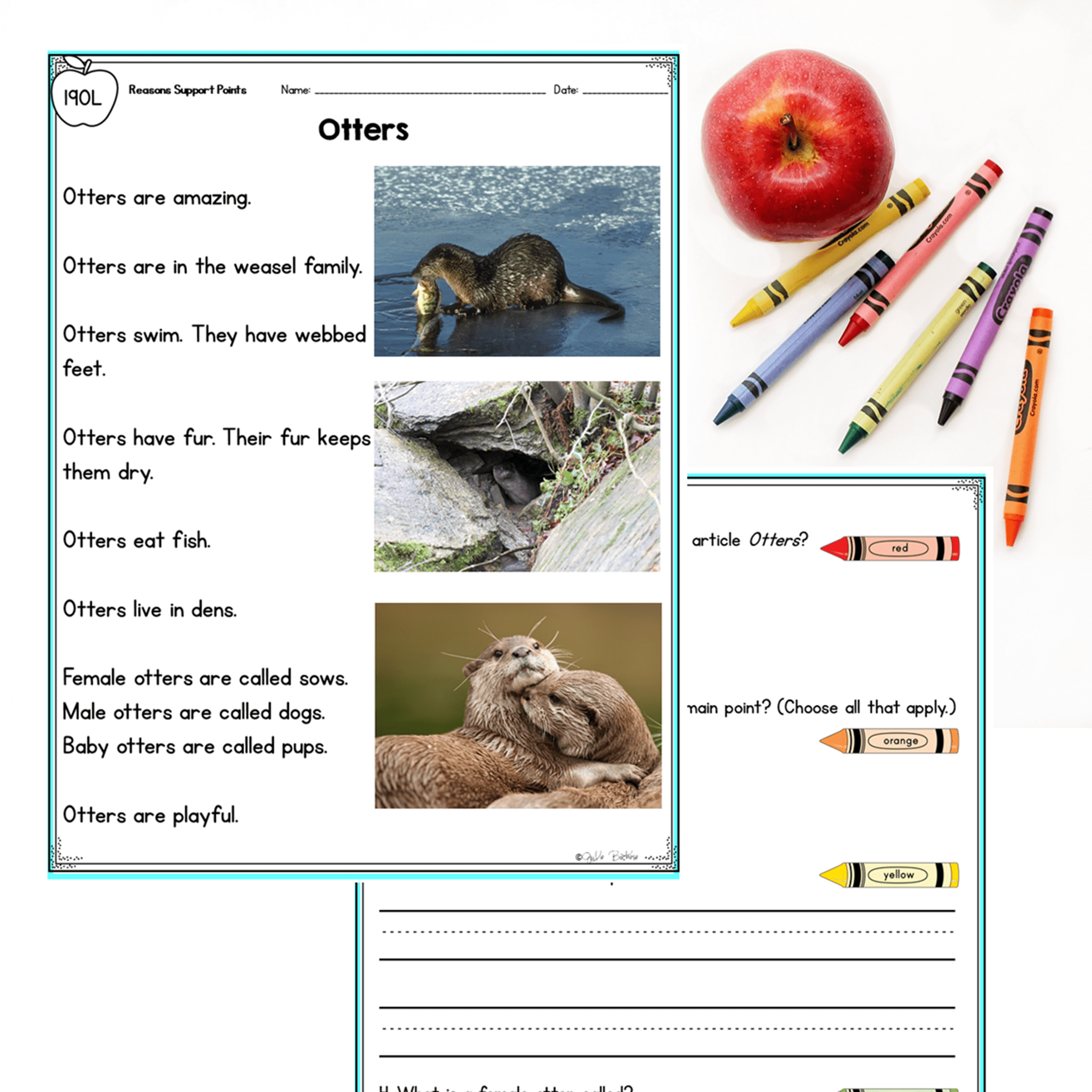 Author's Opinion - - 1st Grade Florida BEST Standards - B.E.S.T. ELA.1.R.2.4 - Image 3