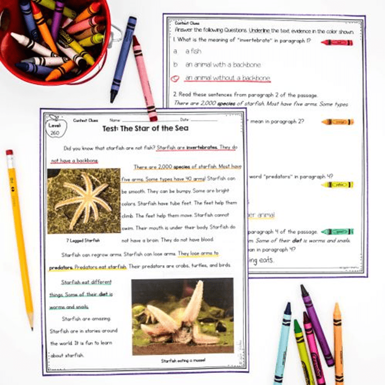 Context Clues - 1st Grade Florida BEST Standards - B.E.S.T. ELA.1.V.1.3 - Image 4