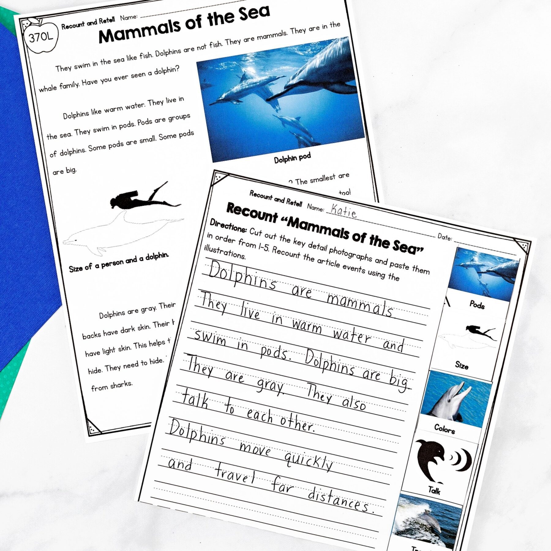 Retell Nonfiction - 1st Grade Florida BEST Standards - B.E.S.T. ELA.1.R.3.2 - Image 4