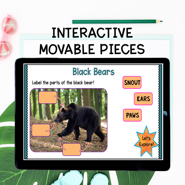 Virtual Field Trip - Temperate Forest Biome 1st Grade Google Slides & Seesaw - Image 5
