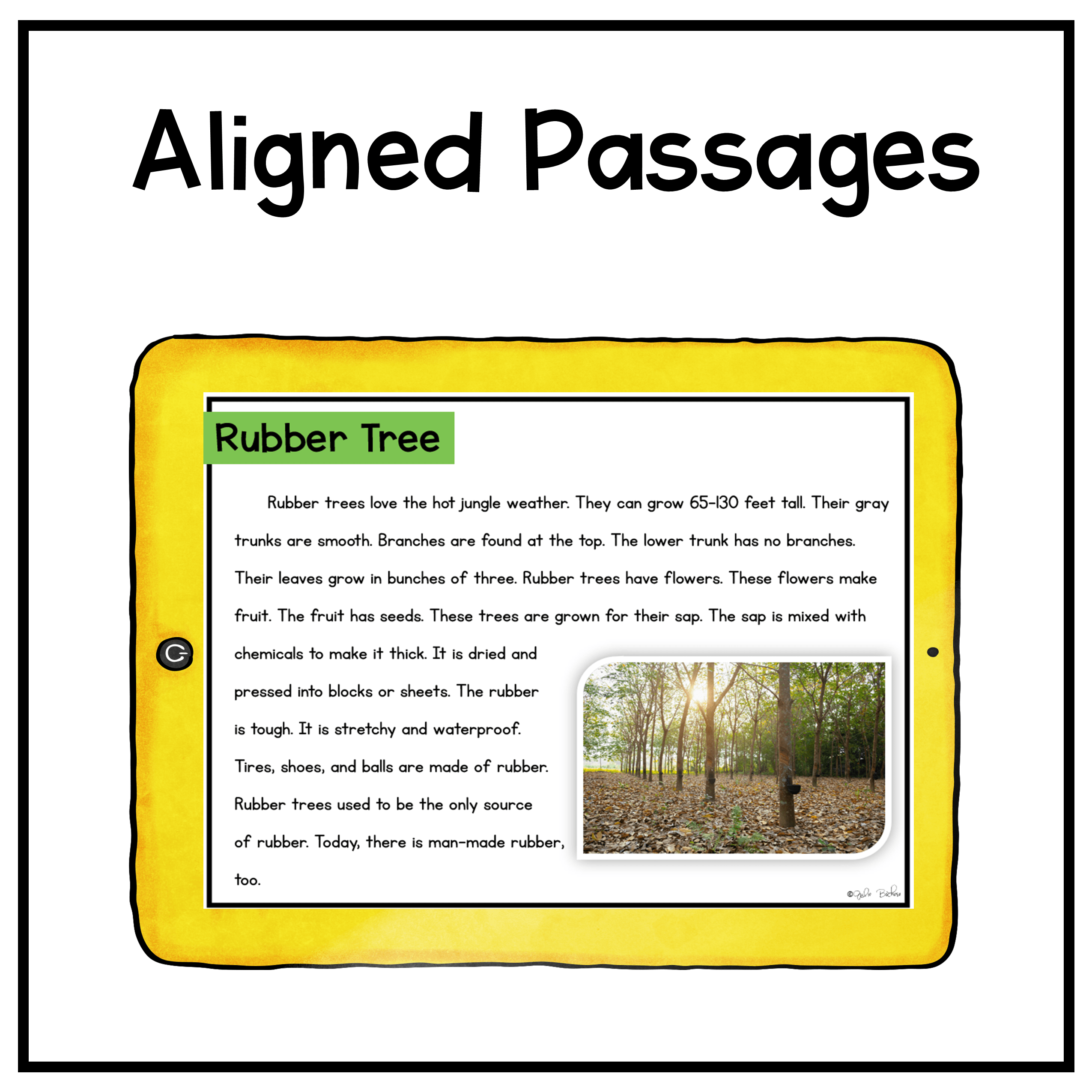 Ask & Answer Questions Safari Webscape™ Escape Room - 1st Grade - Image 6