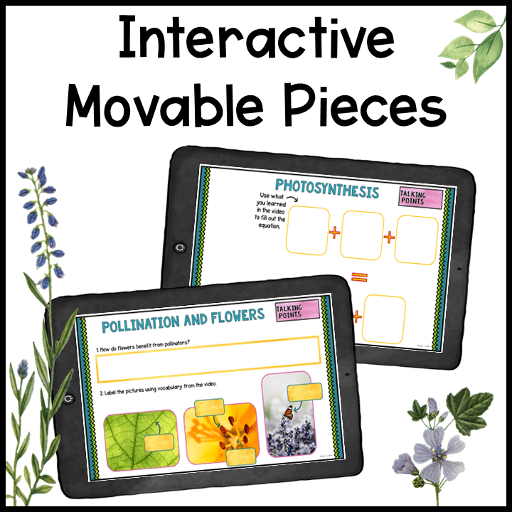 Virtual Career Day: Botanist - Google Slides Occupation Job Exploration Activity - Image 7