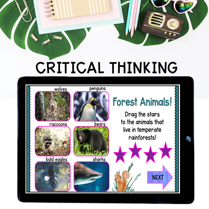 Virtual Field Trip - Temperate Forest Biome 1st Grade Google Slides & Seesaw - Image 7