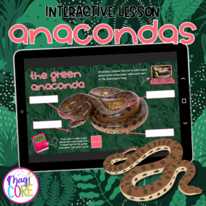 Anaconda Snakes Interactive Lesson Animals Digital Resource Habitat Lifecycle