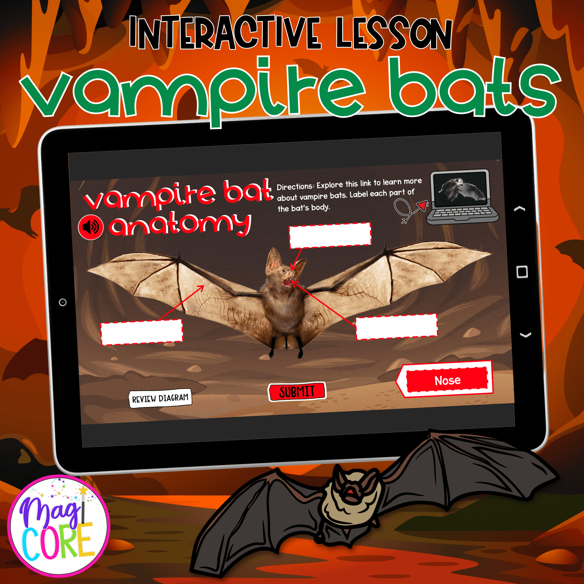 Vampire Bats Interactive Lesson Digital Resource Activity Animal Life Cycle Diet