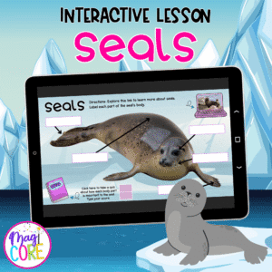 Seals Interactive Lesson Digital Activity Ocean Animals Life Cycle Habitat Diet