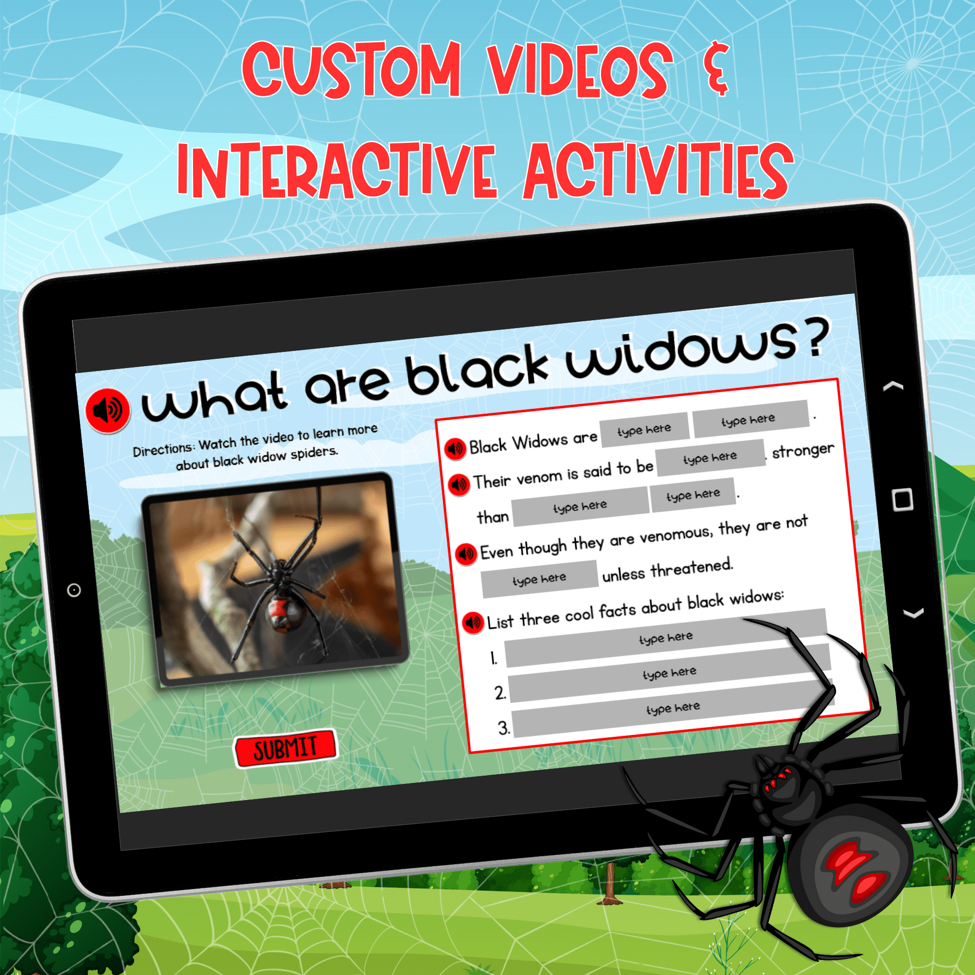 Black Widow Spiders Interactive Lesson Digital Activity Anatomy Lifecycle Bugs - Image 2