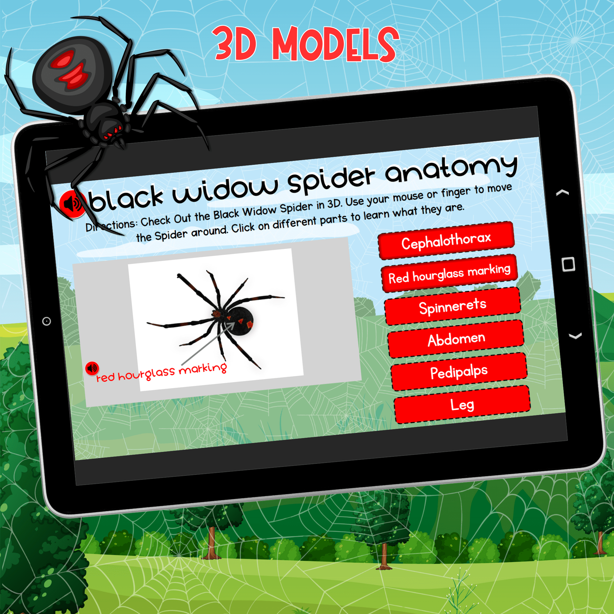 Black Widow Spiders Interactive Lesson Digital Activity Anatomy Lifecycle Bugs - Image 3
