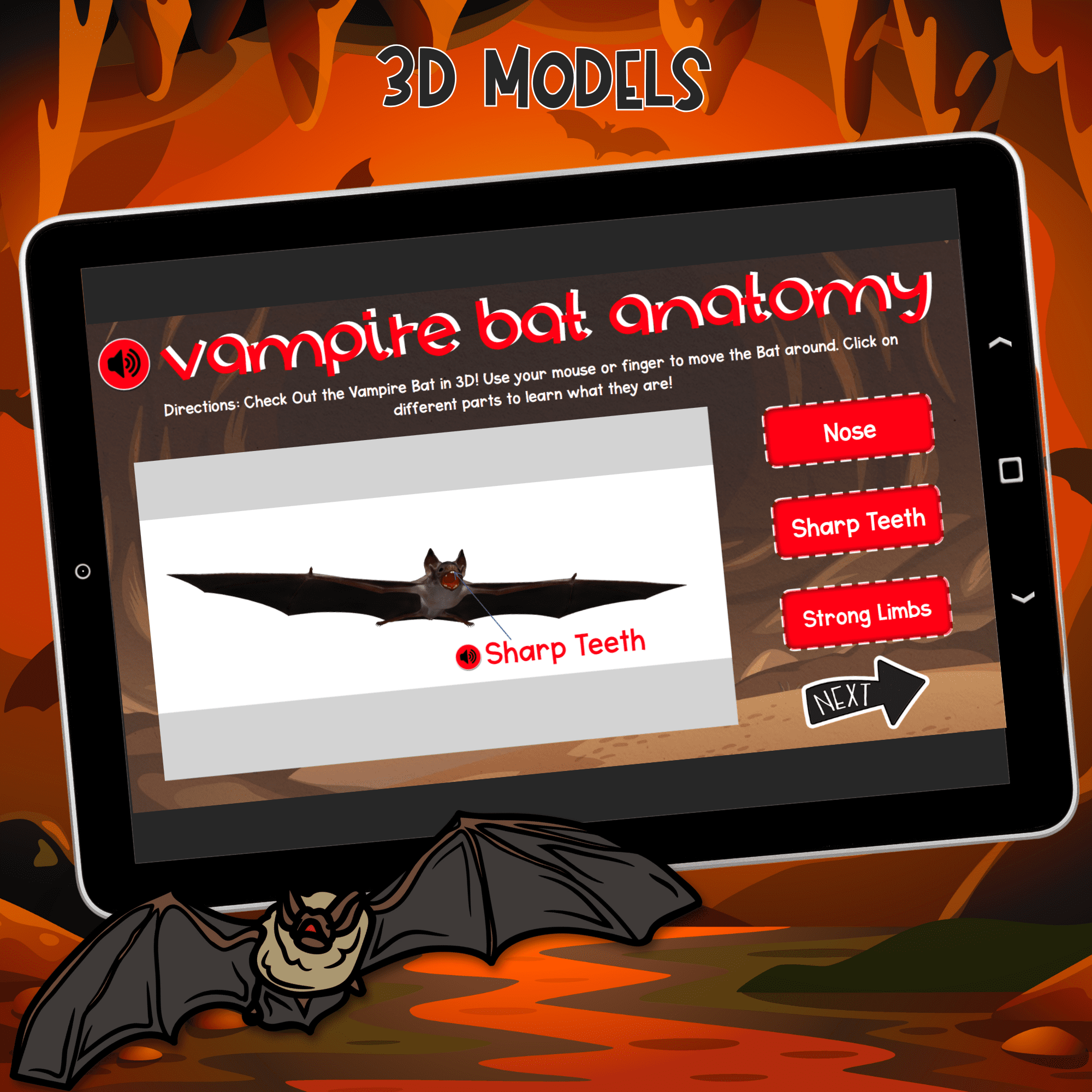 Vampire Bats Interactive Lesson Digital Resource Activity Animal Life Cycle Diet - Image 3