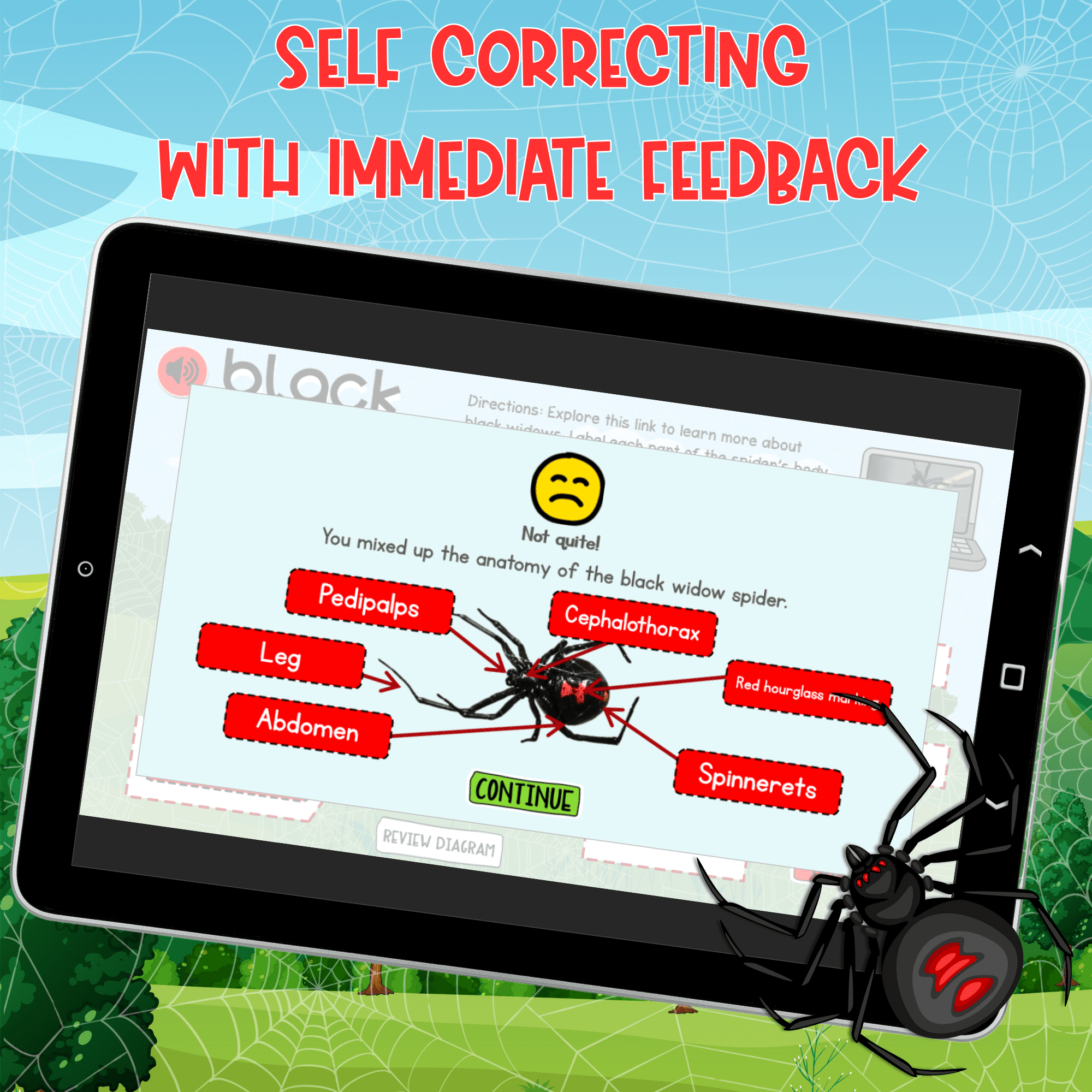 Black Widow Spiders Interactive Lesson Digital Activity Anatomy Lifecycle Bugs - Image 4