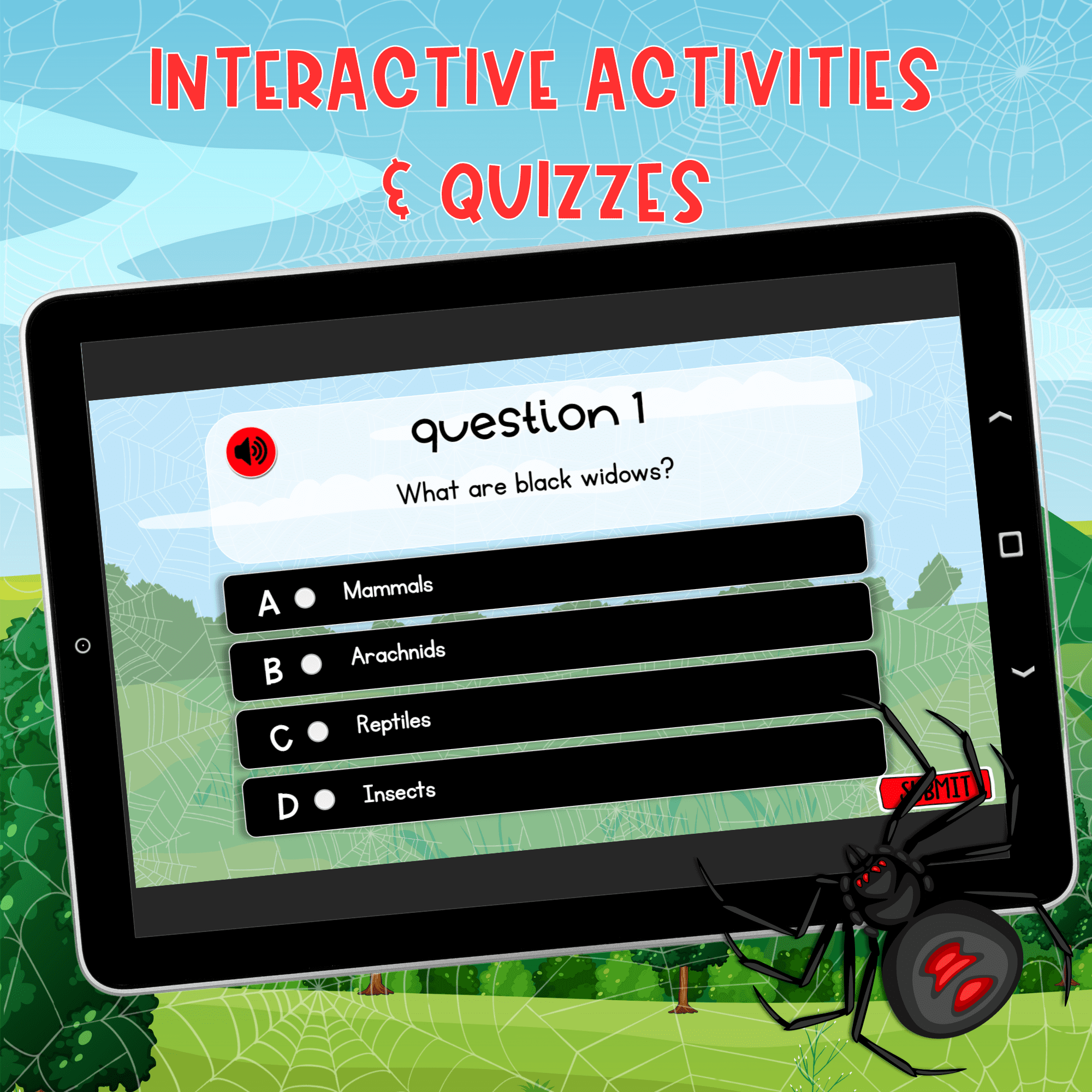 Black Widow Spiders Interactive Lesson Digital Activity Anatomy Lifecycle Bugs - Image 5
