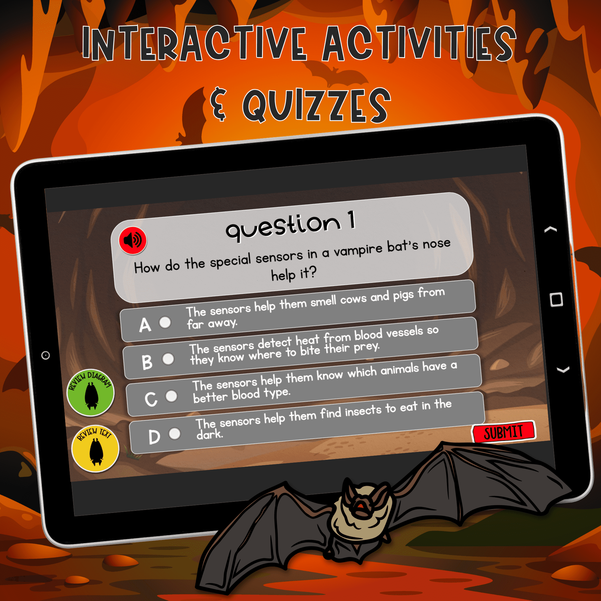 Vampire Bats Interactive Lesson Digital Resource Activity Animal Life Cycle Diet - Image 5