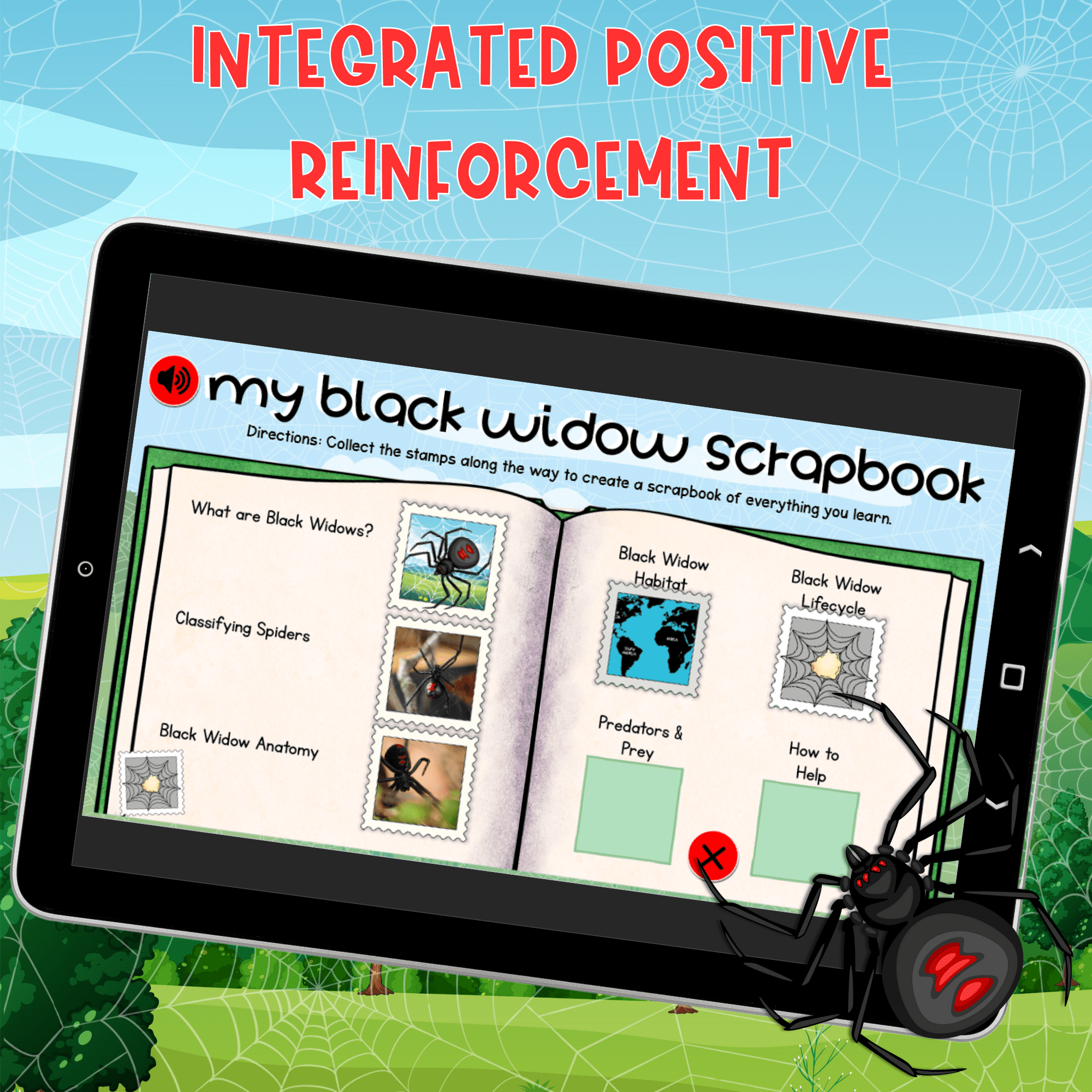 Black Widow Spiders Interactive Lesson Digital Activity Anatomy Lifecycle Bugs - Image 6