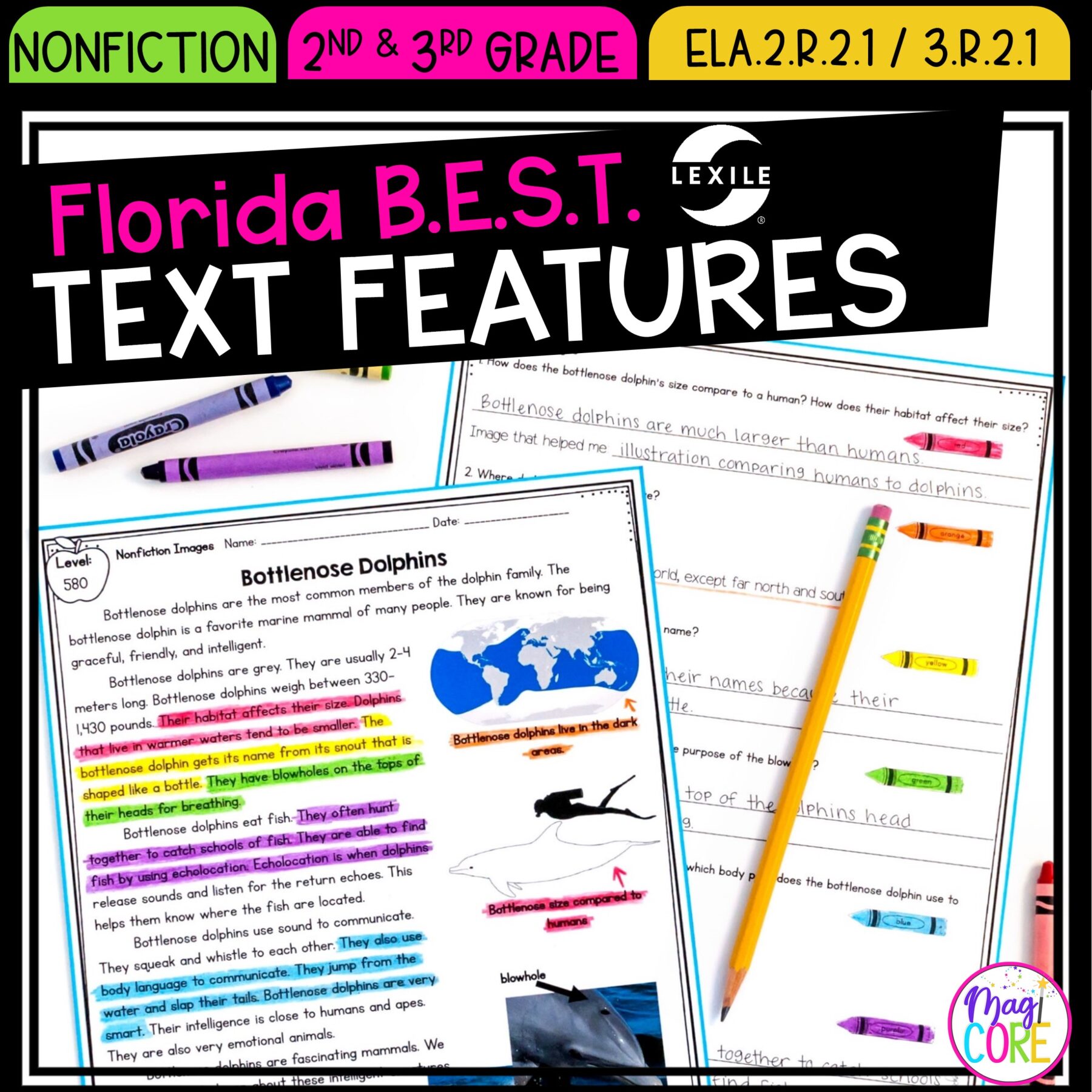 Text Features - 2nd & 3rd Grade Florida BEST Standards - ELA.2.R.2.1 / 3.R.2.1