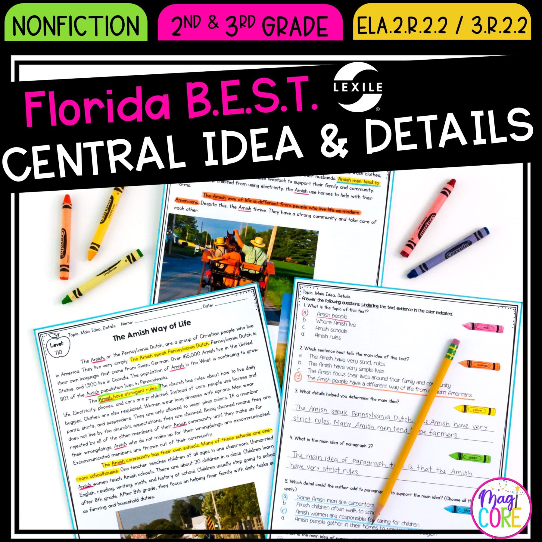 Central Idea & Details - 2nd & 3rd Florida BEST Standards -ELA.2.R.2.2 / 3.R.2.2