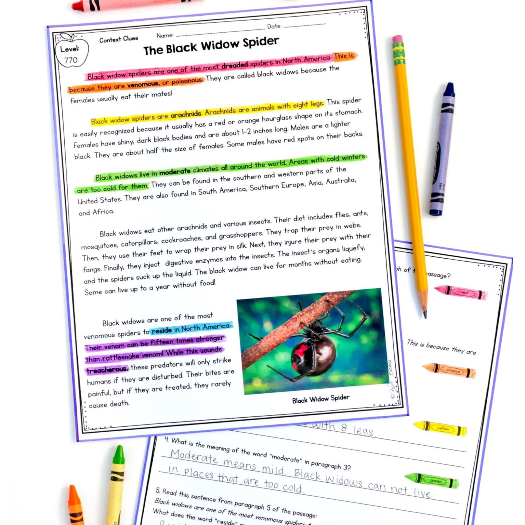 Nonfiction Context Clues 2nd & 3rd Grade Florida BEST ELA.2.V.1.3 & ELA.3.V.1.3 - Image 3