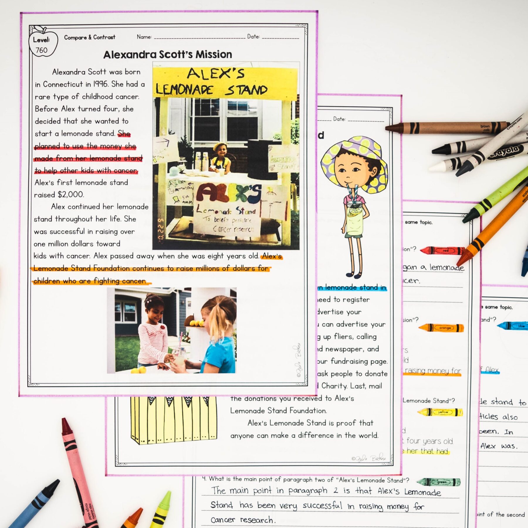 Compare & Contrast Nonfiction 2nd & 3rd Florida BEST - ELA.2.R.3.3 & ELA.3.R.3.3 - Image 3