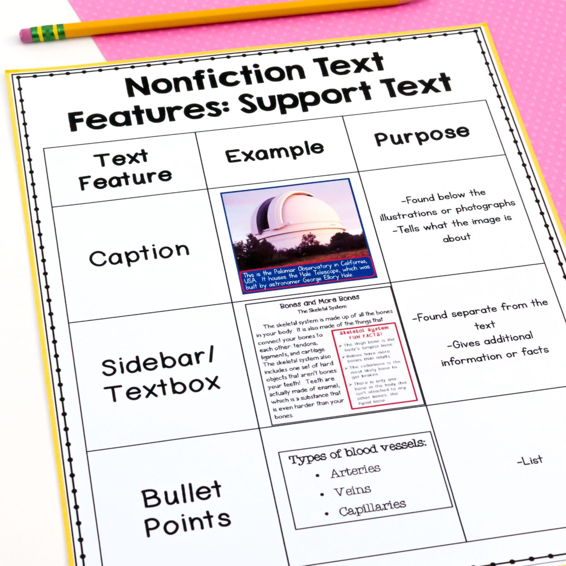 Text Features - 2nd & 3rd Grade Florida BEST Reading - ELA.2.R.2.1 & ELA.3.R.2.1 - Image 3