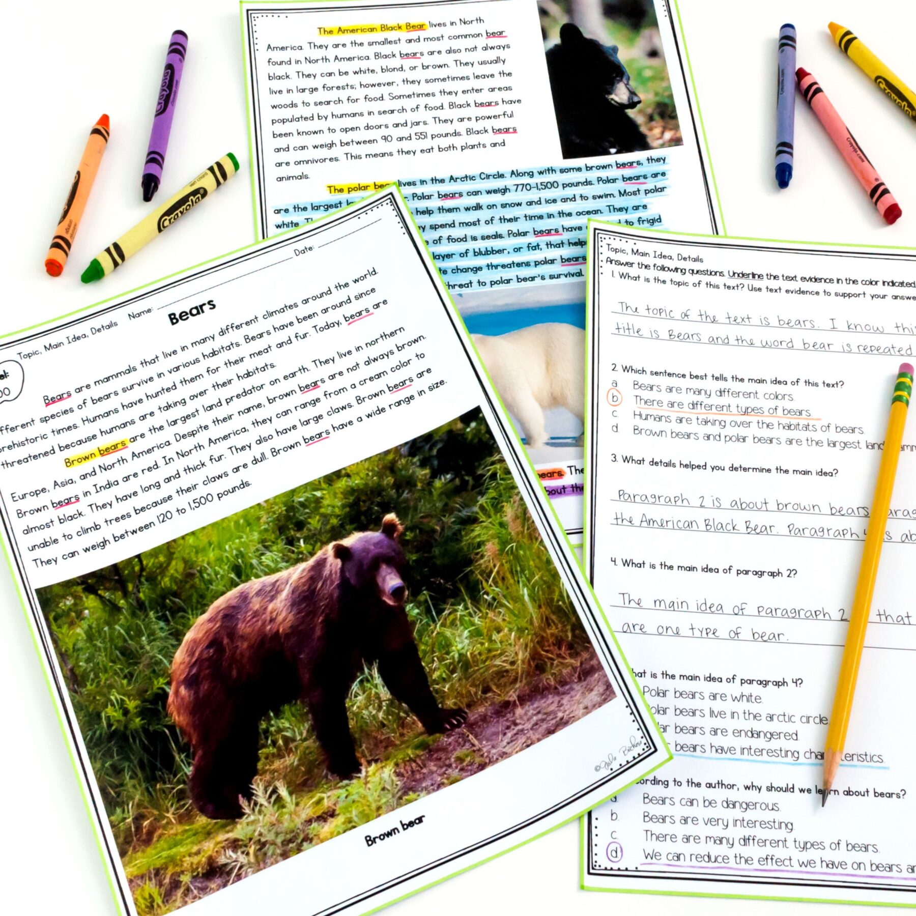 Central Idea & Details Florida BEST Reading Comprehension ELA.2.R.2.2 & 3.R.2.2 - Image 3