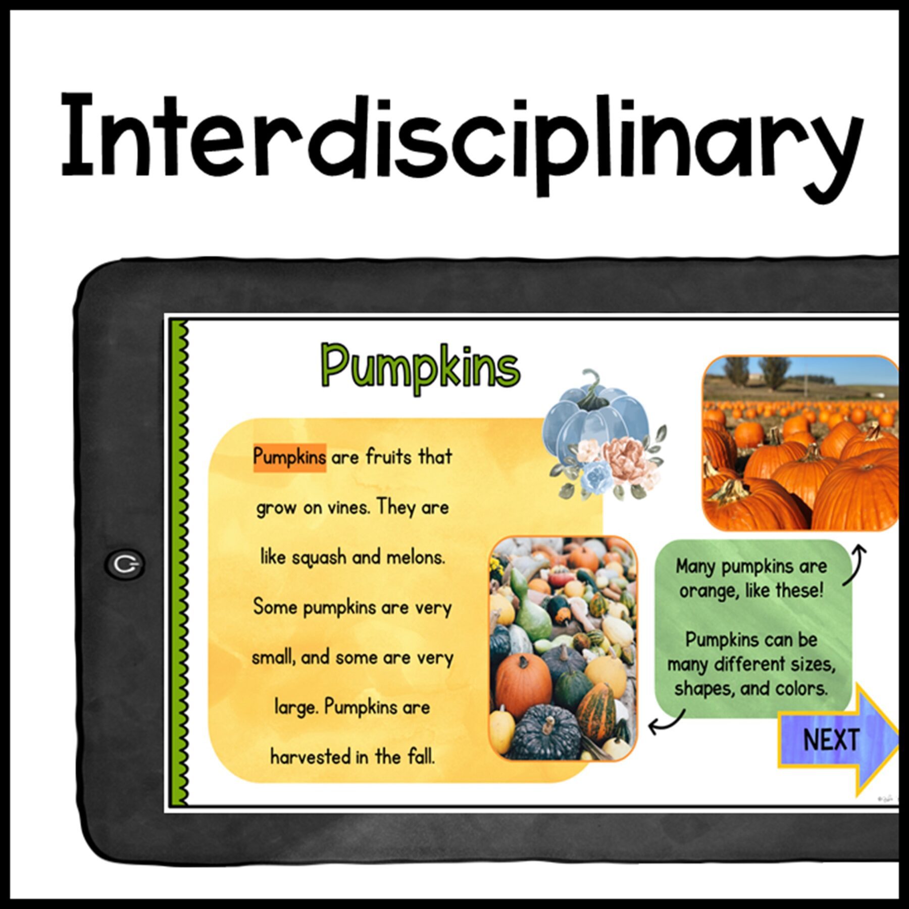 Fall Bundle - Primary - Digital and Printable Format - Image 3