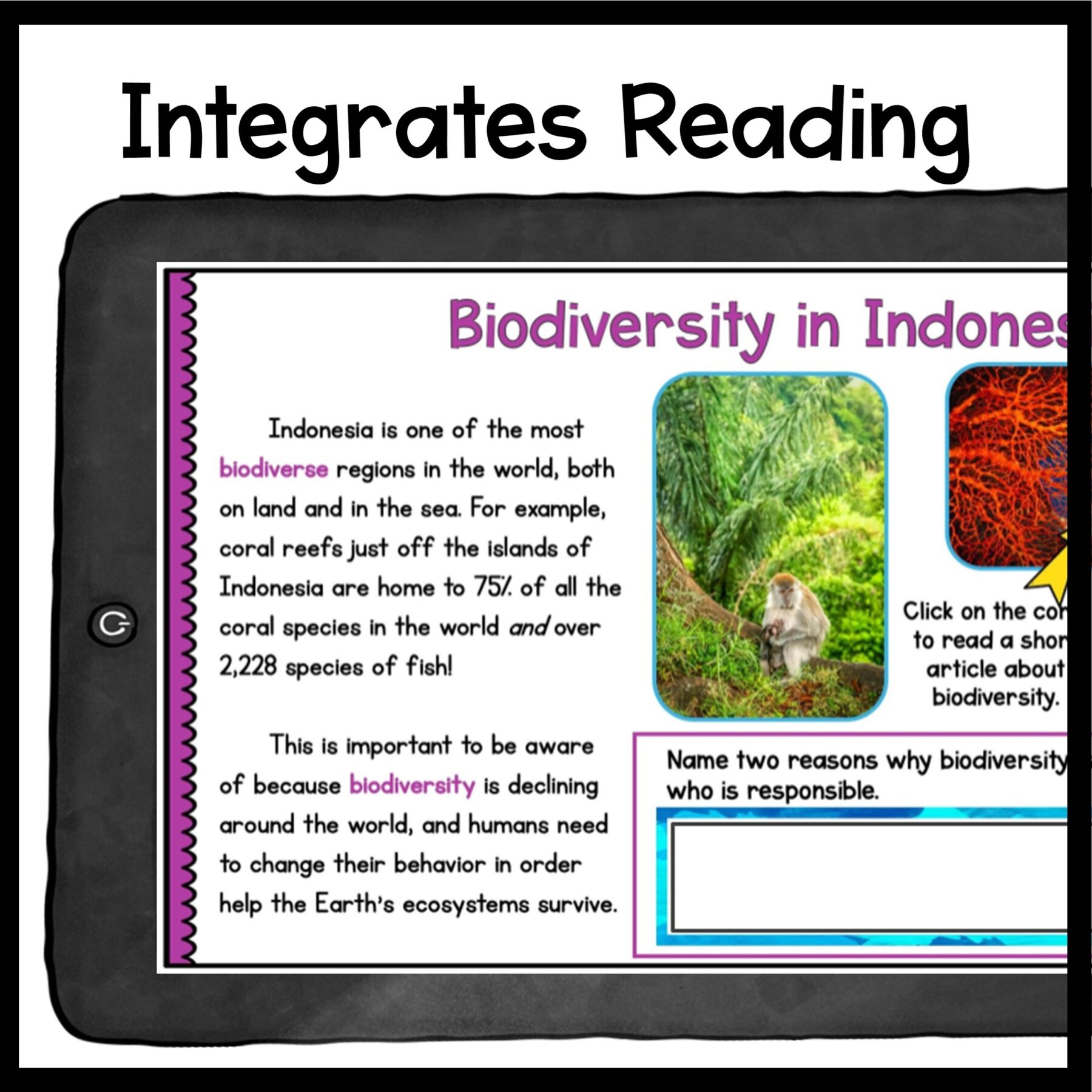 Cultural Awareness Virtual Field Trips - BUNDLE Google Slides Digital Resources - Image 35