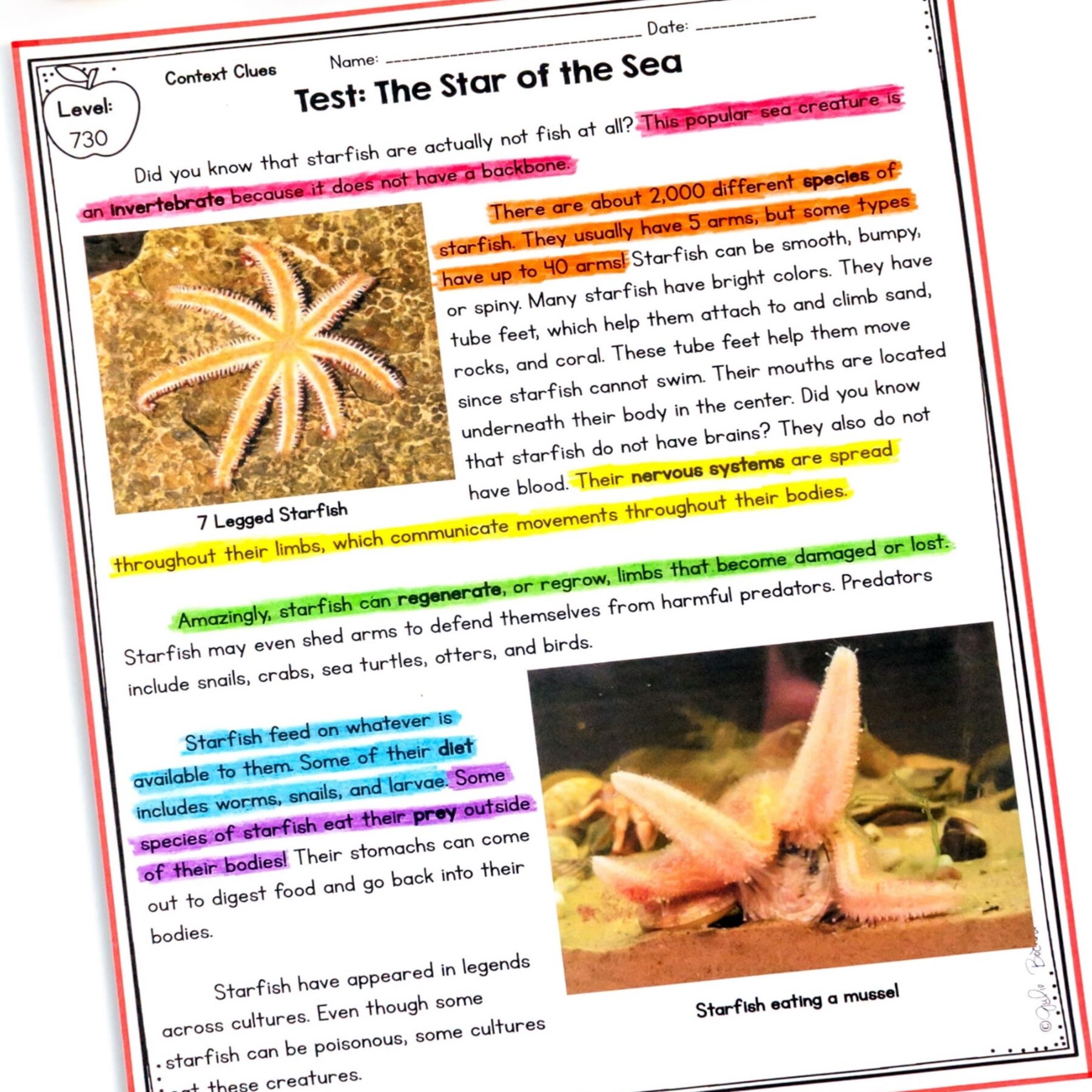 Nonfiction Context Clues 2nd & 3rd Grade Florida BEST ELA.2.V.1.3 & ELA.3.V.1.3 - Image 4