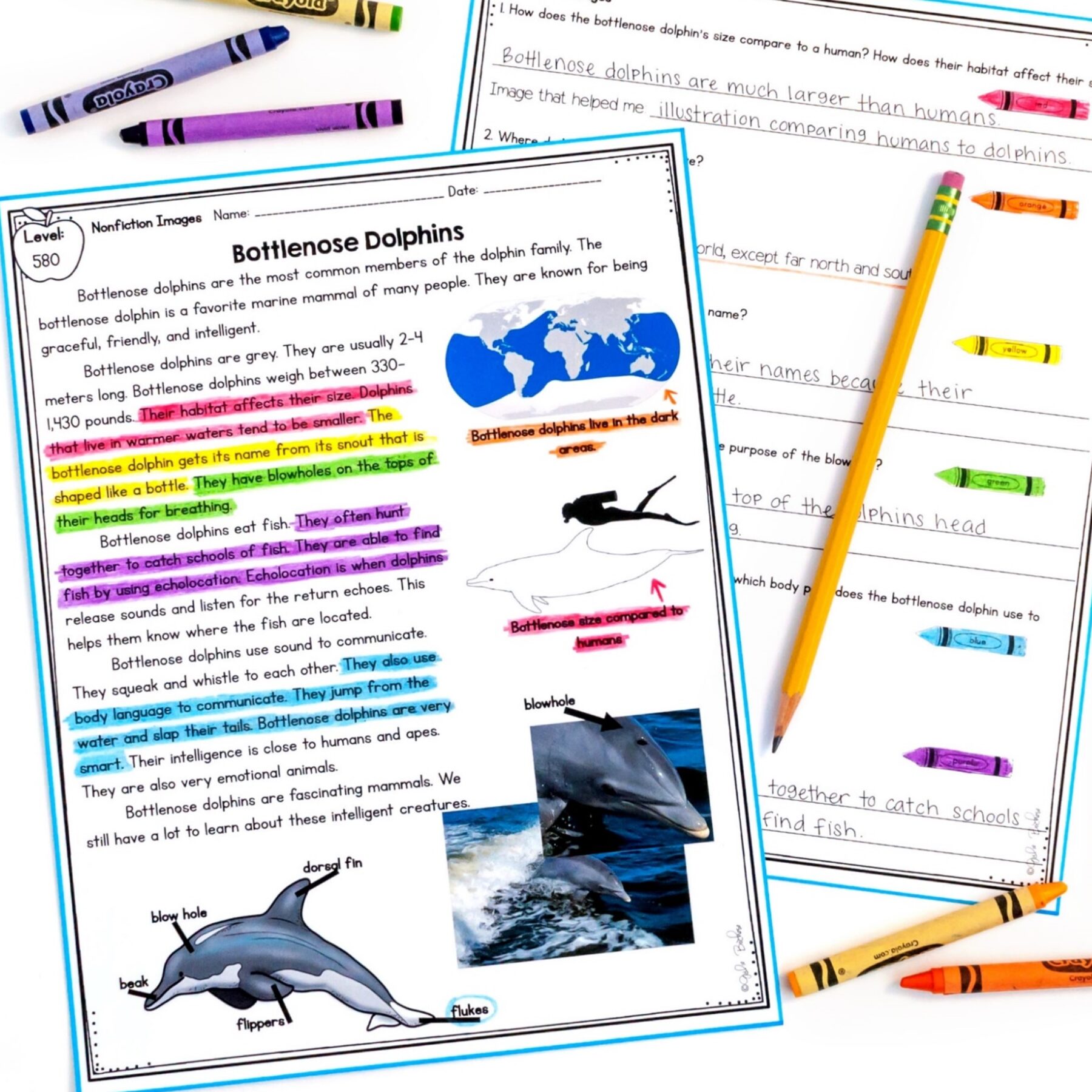 Text Features - 2nd & 3rd Grade Florida BEST Reading - ELA.2.R.2.1 & ELA.3.R.2.1 - Image 4
