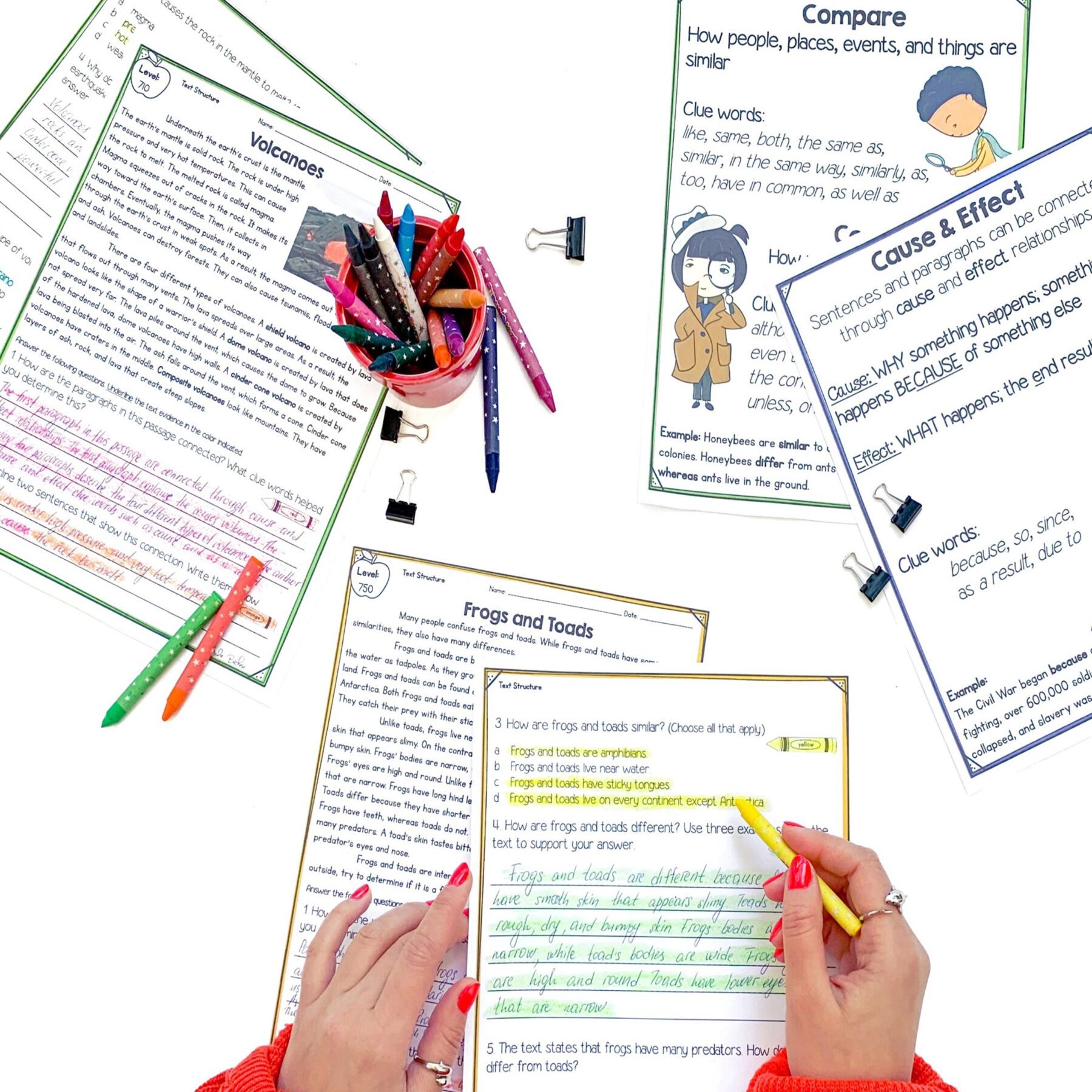 Text Structure 3rd Grade Florida BEST Reading Comprehension Passages ELA.3.R.2.1 - Image 4