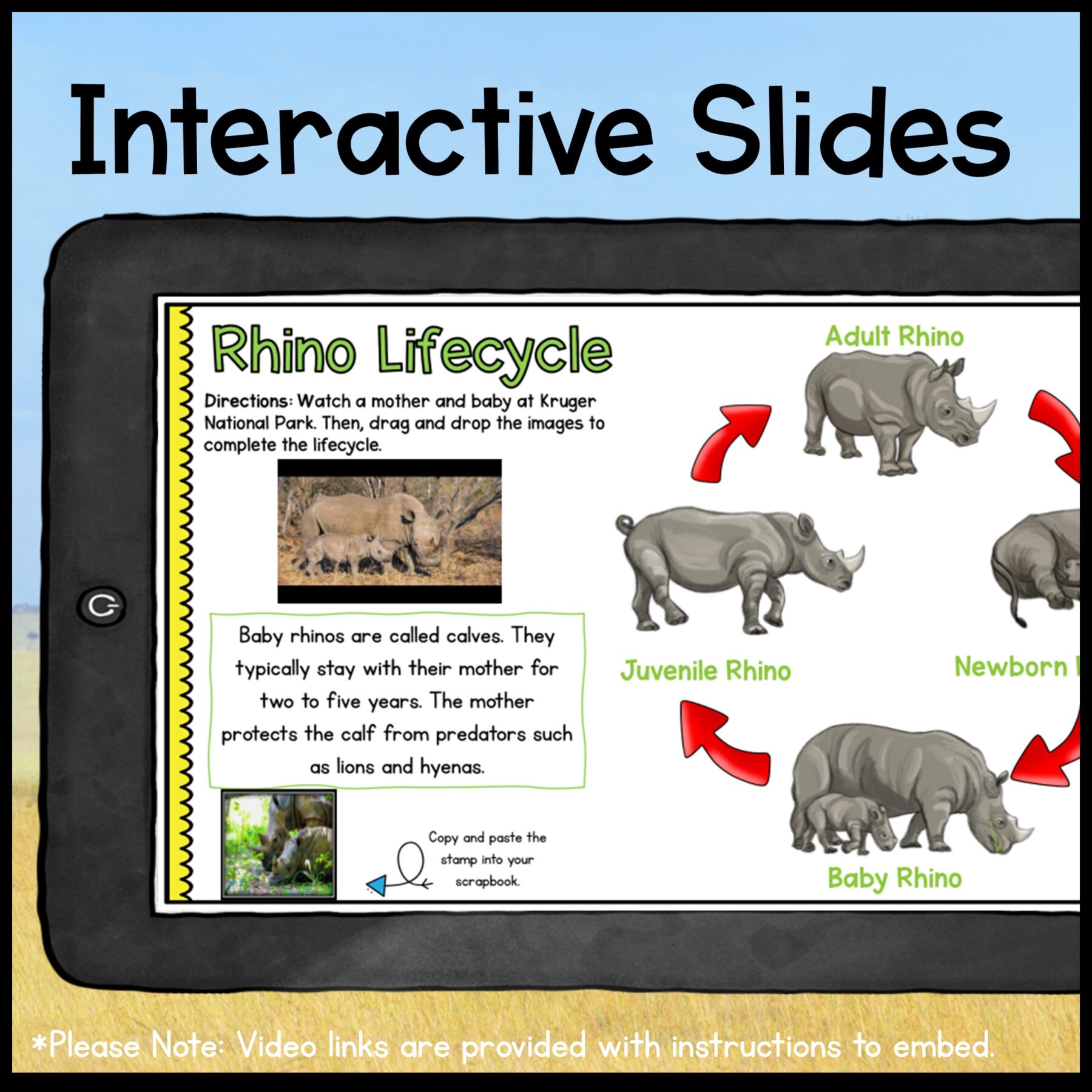 Rhinos Digital Research Webquest - 2nd-5th Grade - Google Slides - Image 5