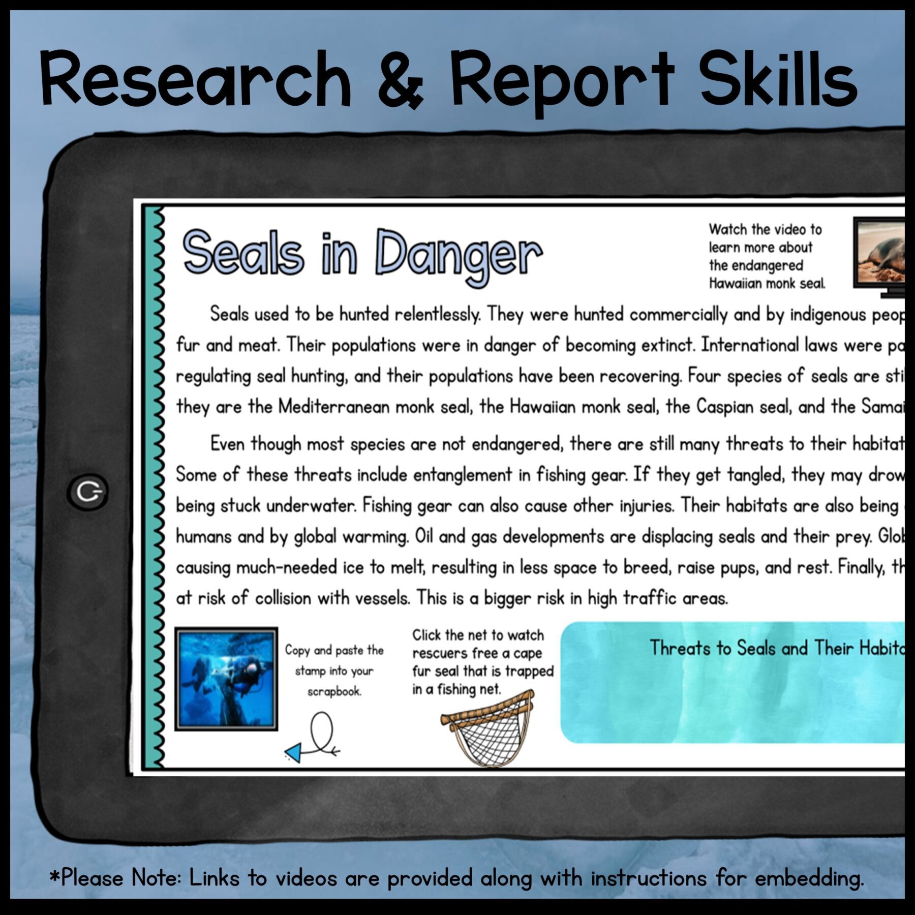 Ocean Animals Webquest Bundle & Report Writing Bonus - 2nd-5th Grade - Image 10