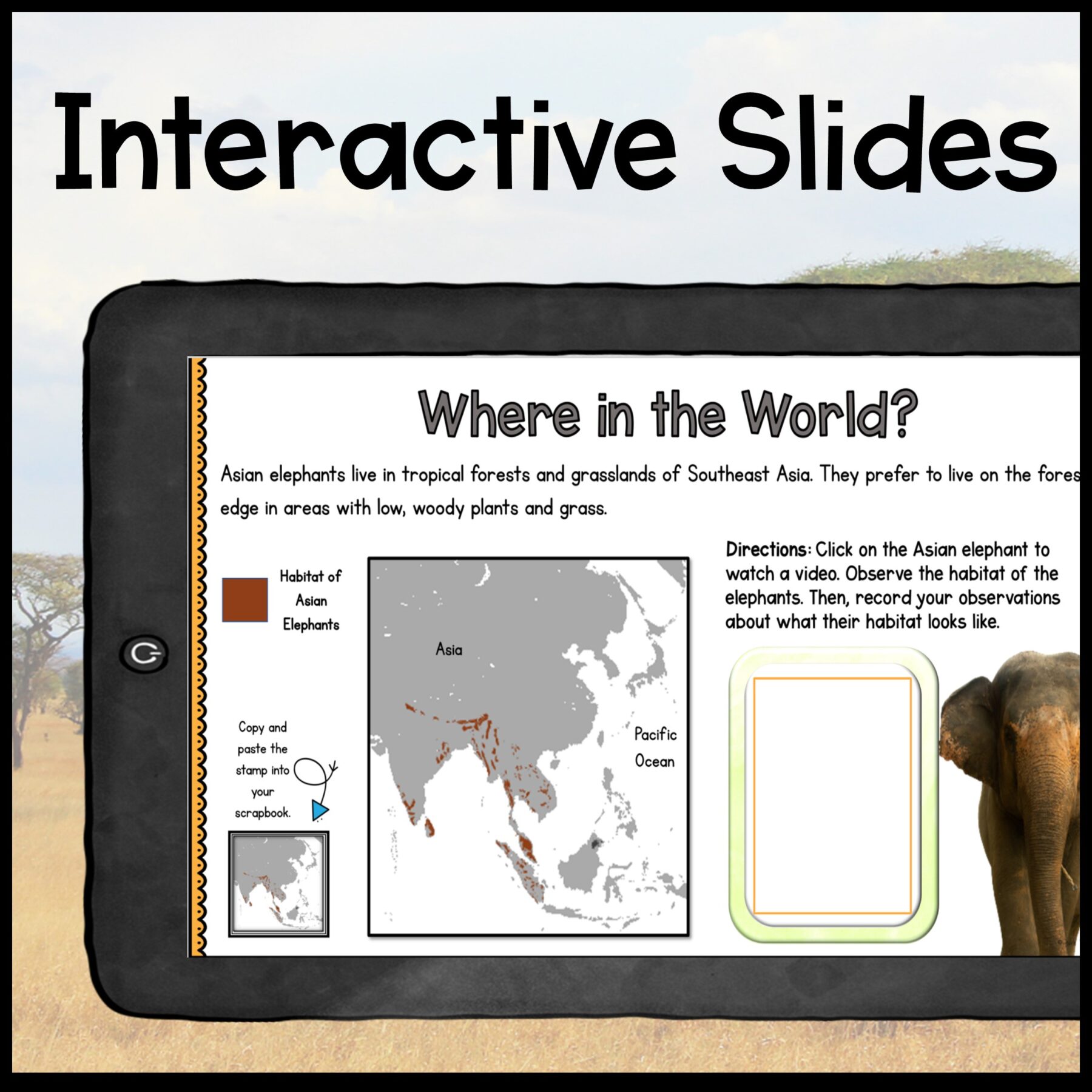 Savanna Animals Digital Research WebQuest BUNDLE - 2nd-5th Grade - Google Slides - Image 11