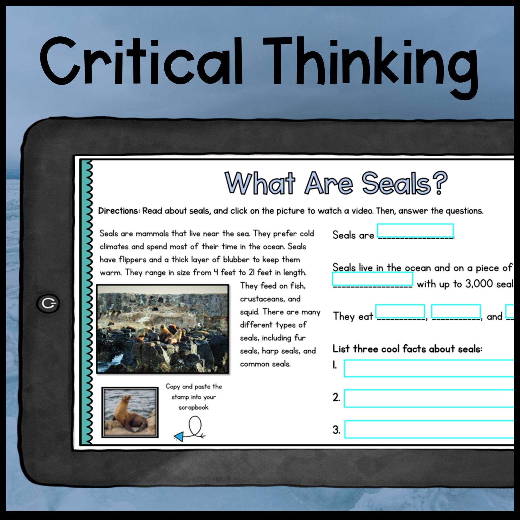 Ocean Animals Webquest Bundle & Report Writing Bonus - 2nd-5th Grade - Image 12