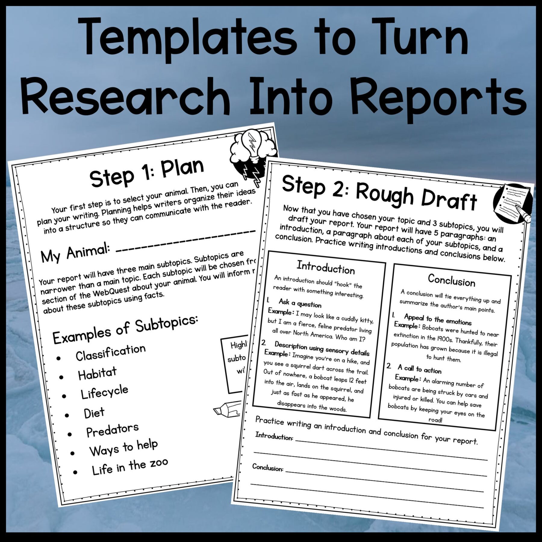 Ocean Animals Webquest Bundle & Report Writing Bonus - 2nd-5th Grade - Image 14