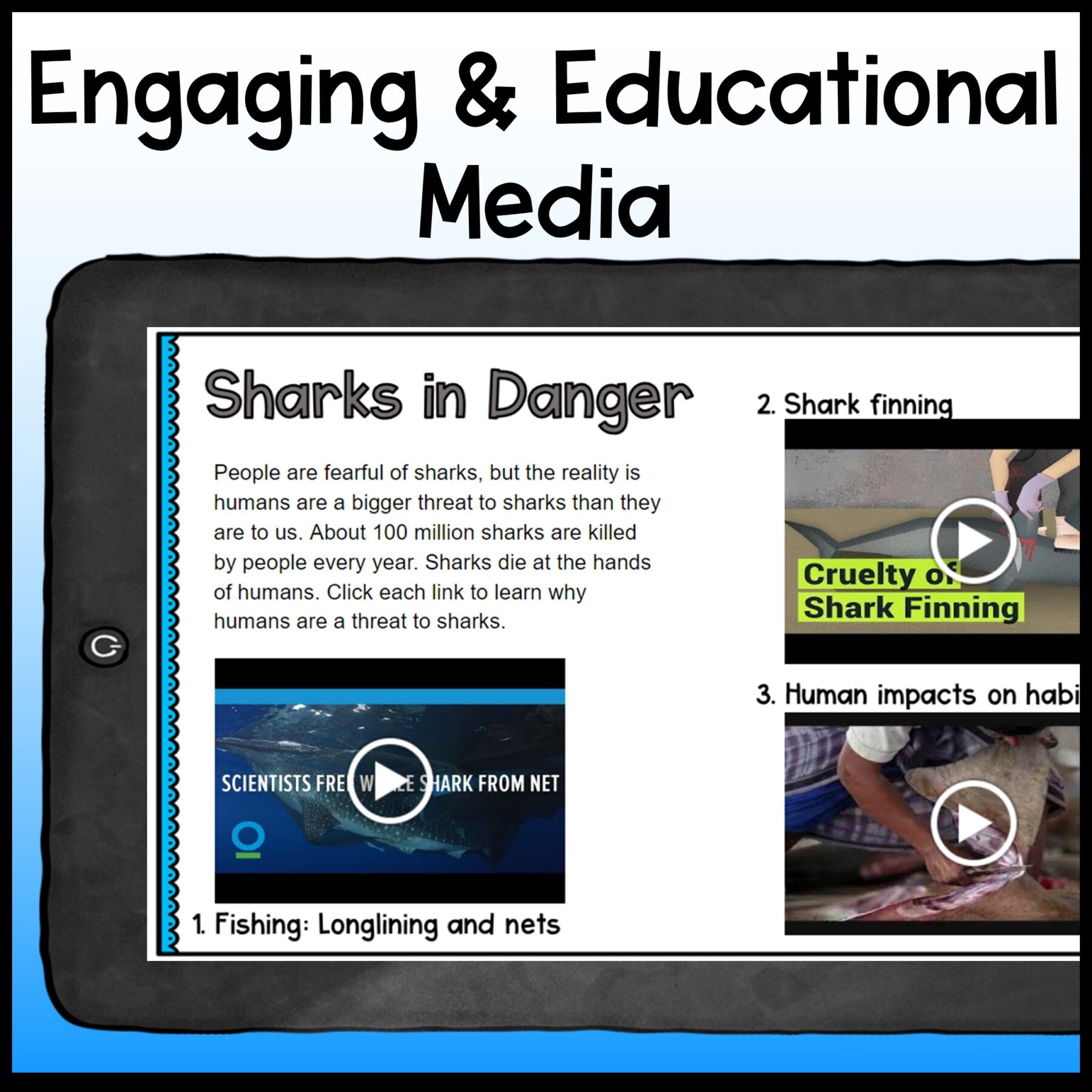 Ocean Animals Webquest Bundle & Report Writing Bonus - 2nd-5th Grade - Image 3