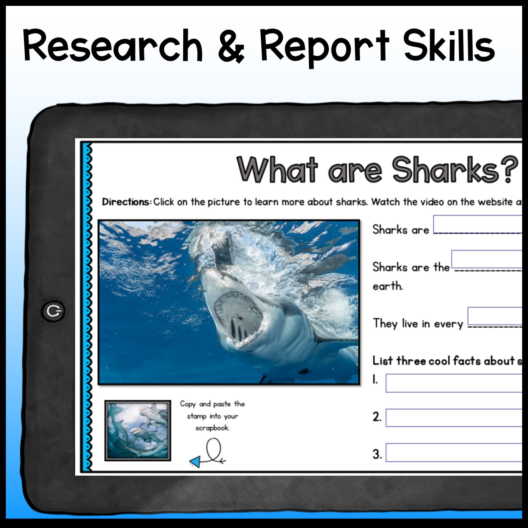 Ocean Animals Webquest Bundle & Report Writing Bonus - 2nd-5th Grade - Image 4
